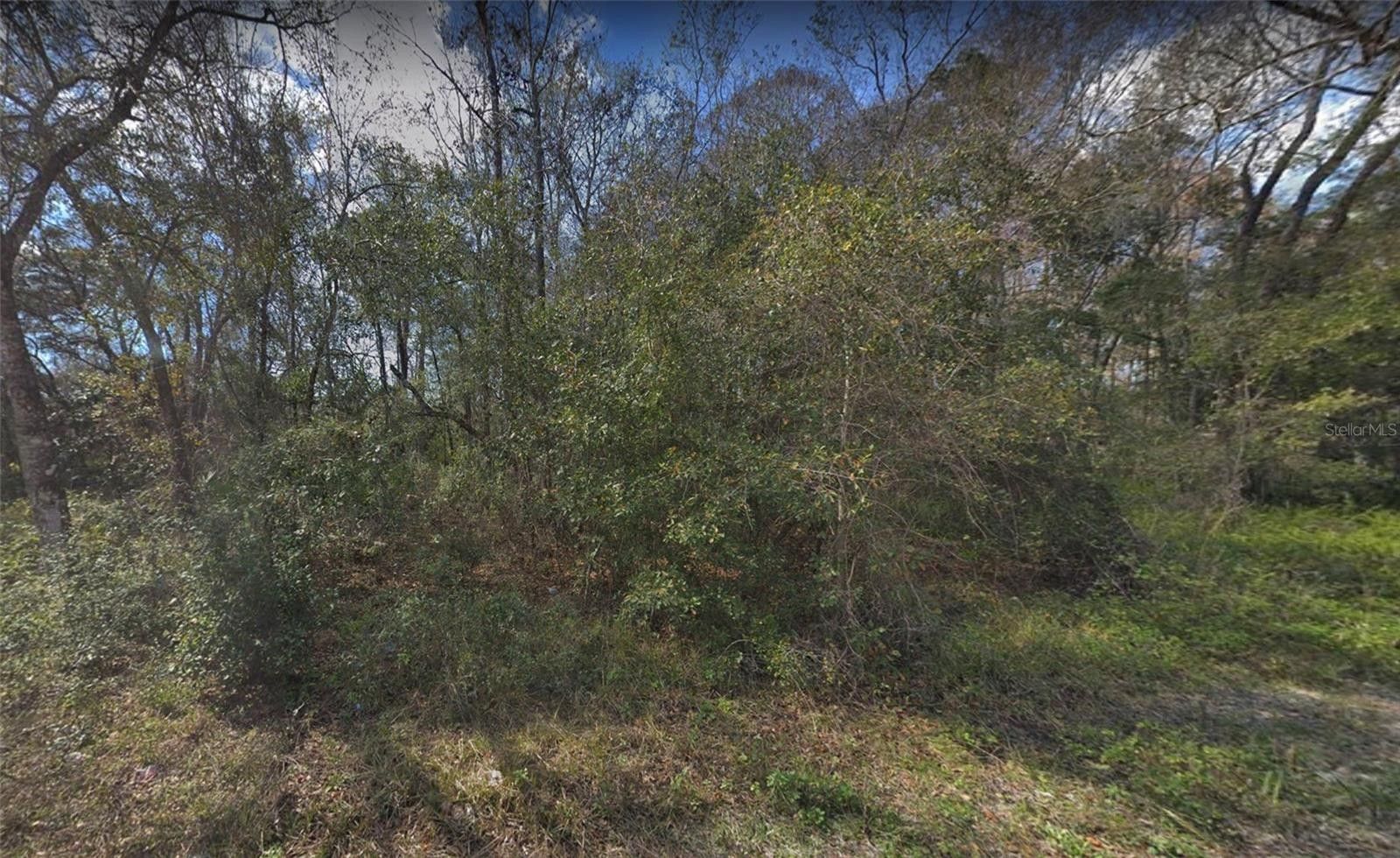 New Port Richey, Pasco County, FL Farms and Ranches, Homesites for sale