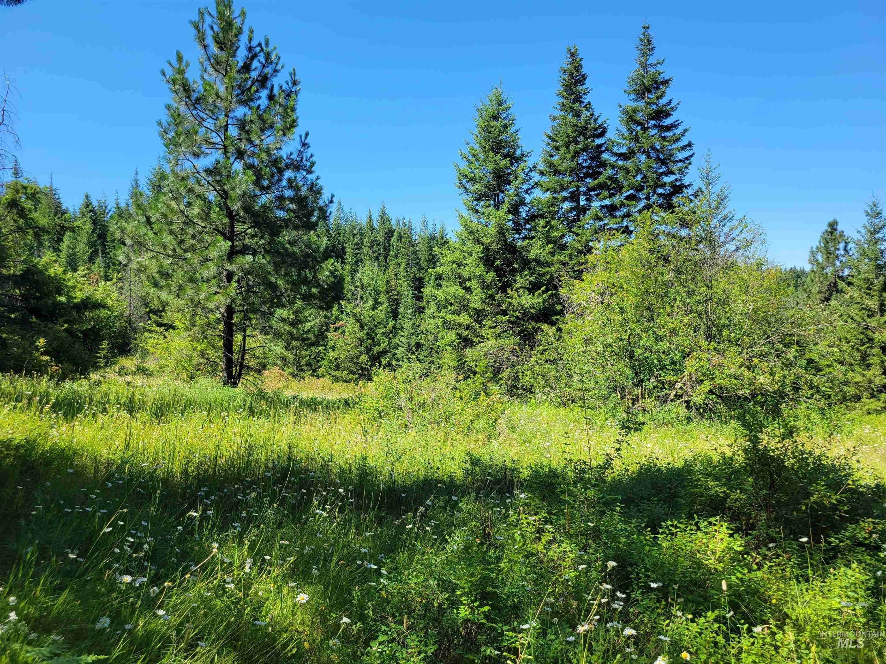 Kamiah, Idaho County, ID Undeveloped Land for sale Property ID