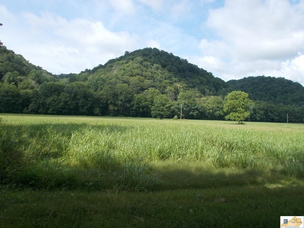 Celina, Clay County, TN Undeveloped Land for sale Property ID