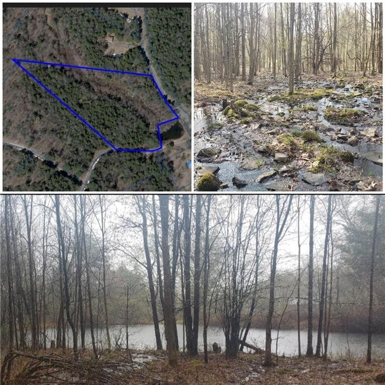 North Blenheim, Schoharie County, NY Undeveloped Land for sale Property