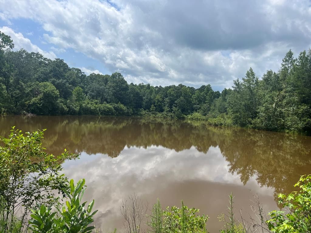 Abbeville, Henry County, AL Lakefront Property, Waterfront Property for