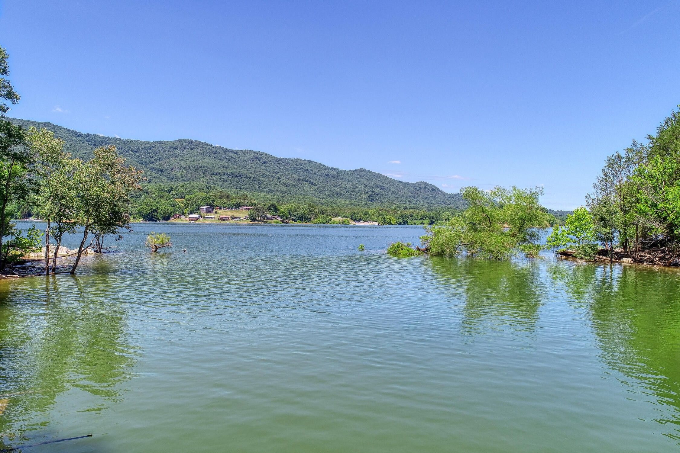 Whitesburg, Hawkins County, TN Farms and Ranches, Lakefront Property, Waterfront Property