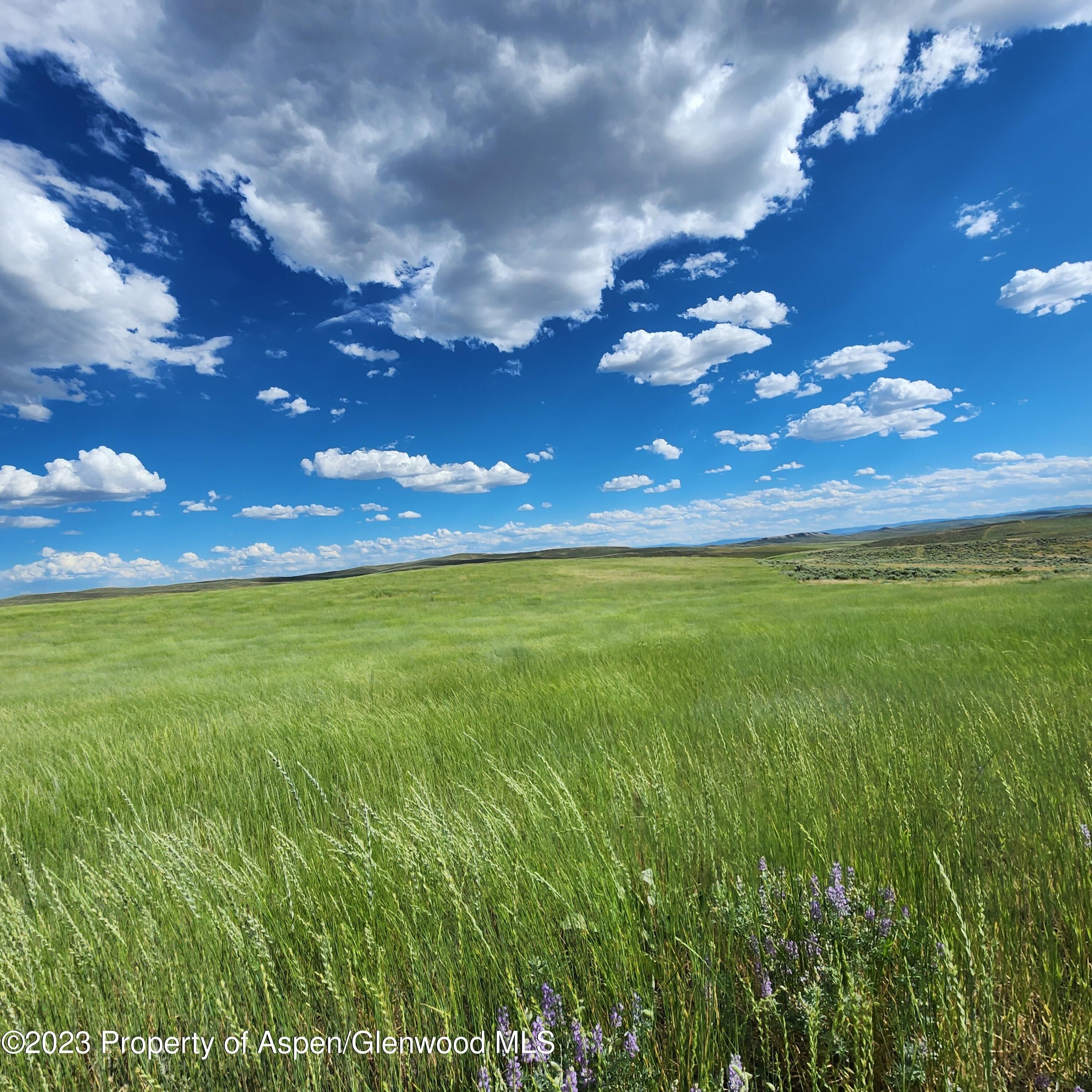 Craig, Moffat County, CO Undeveloped Land for sale Property ID
