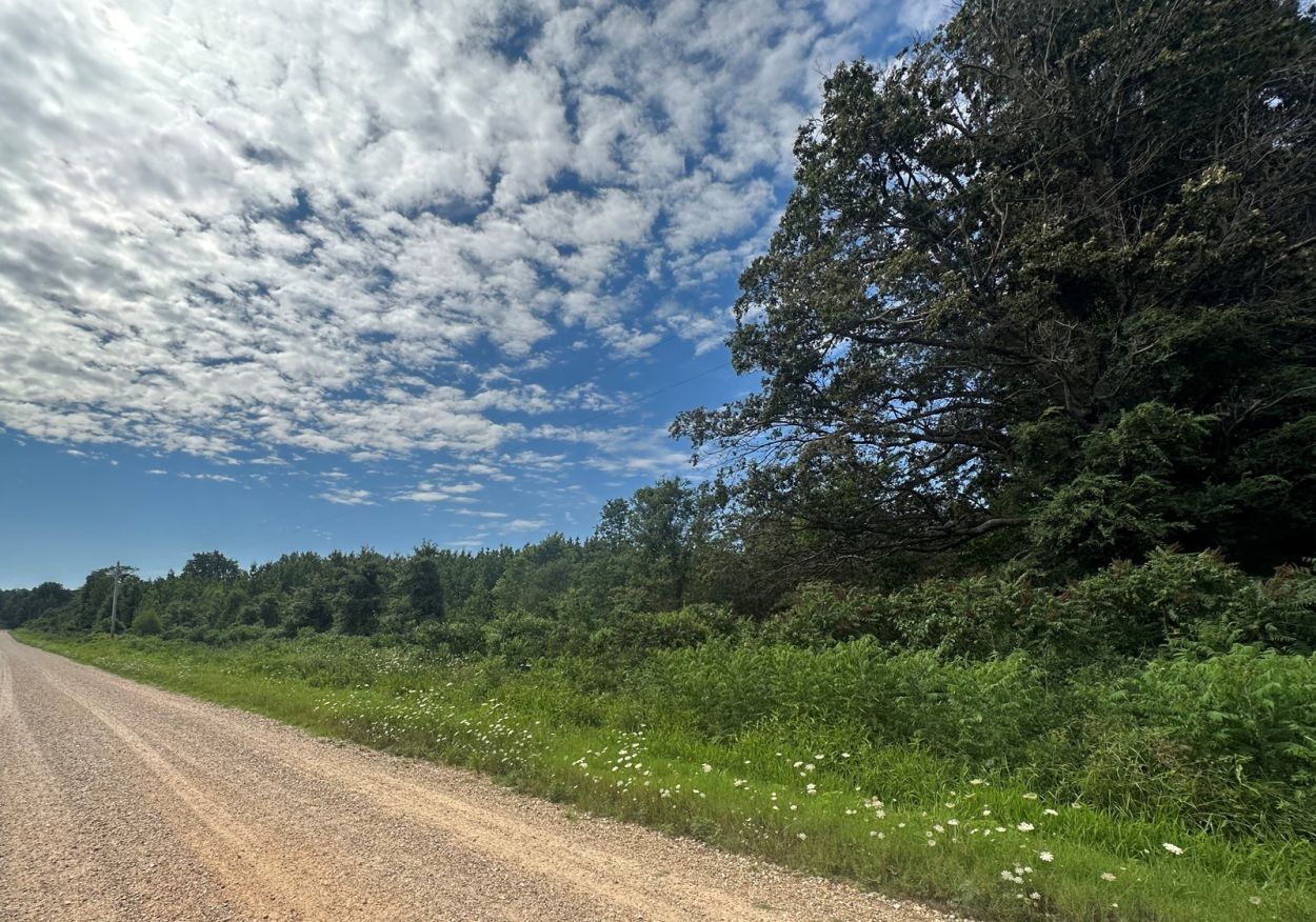 Dexter, Stoddard County, MO Farms and Ranches for sale Property ID