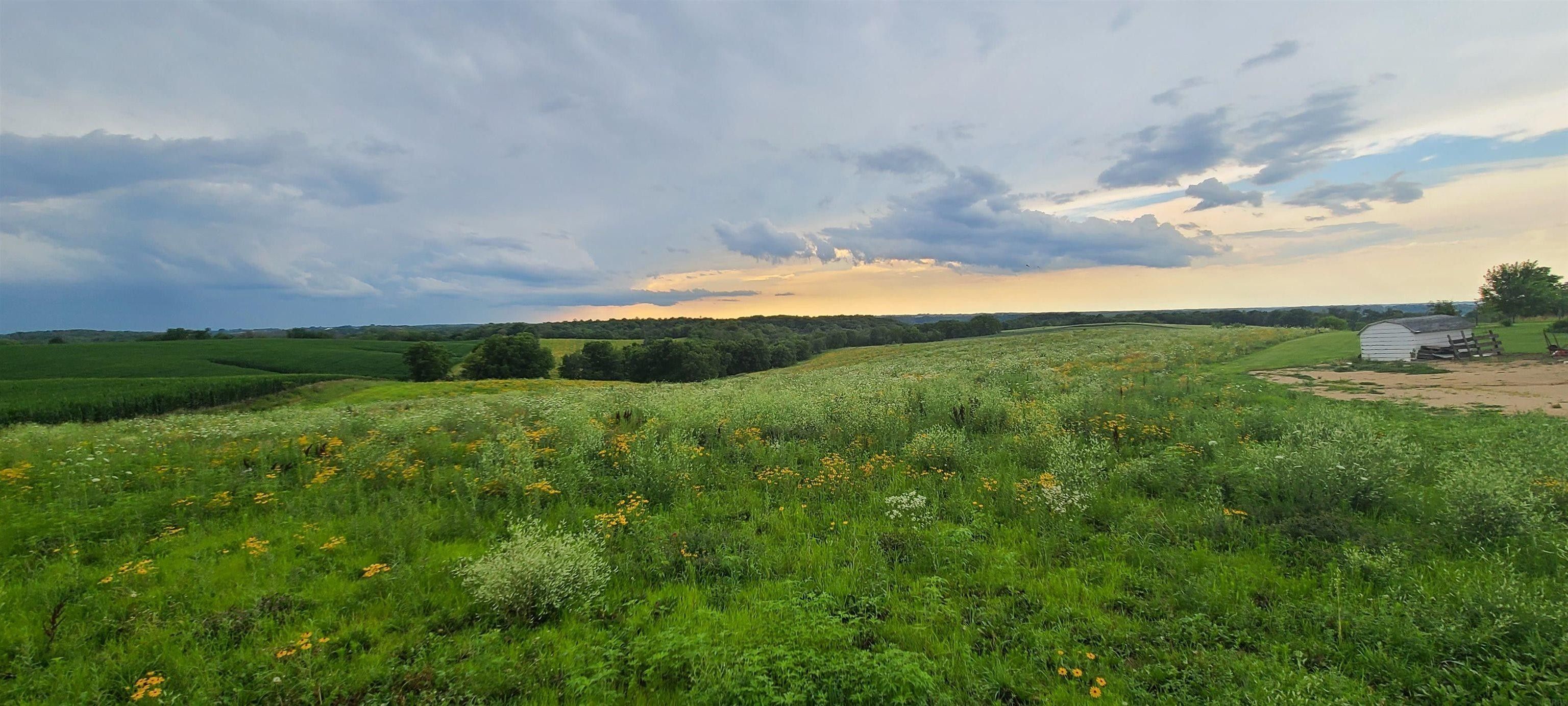 34553 Crystal, Strawberry Point, IA 52076 MLS 20232907 LandWatch