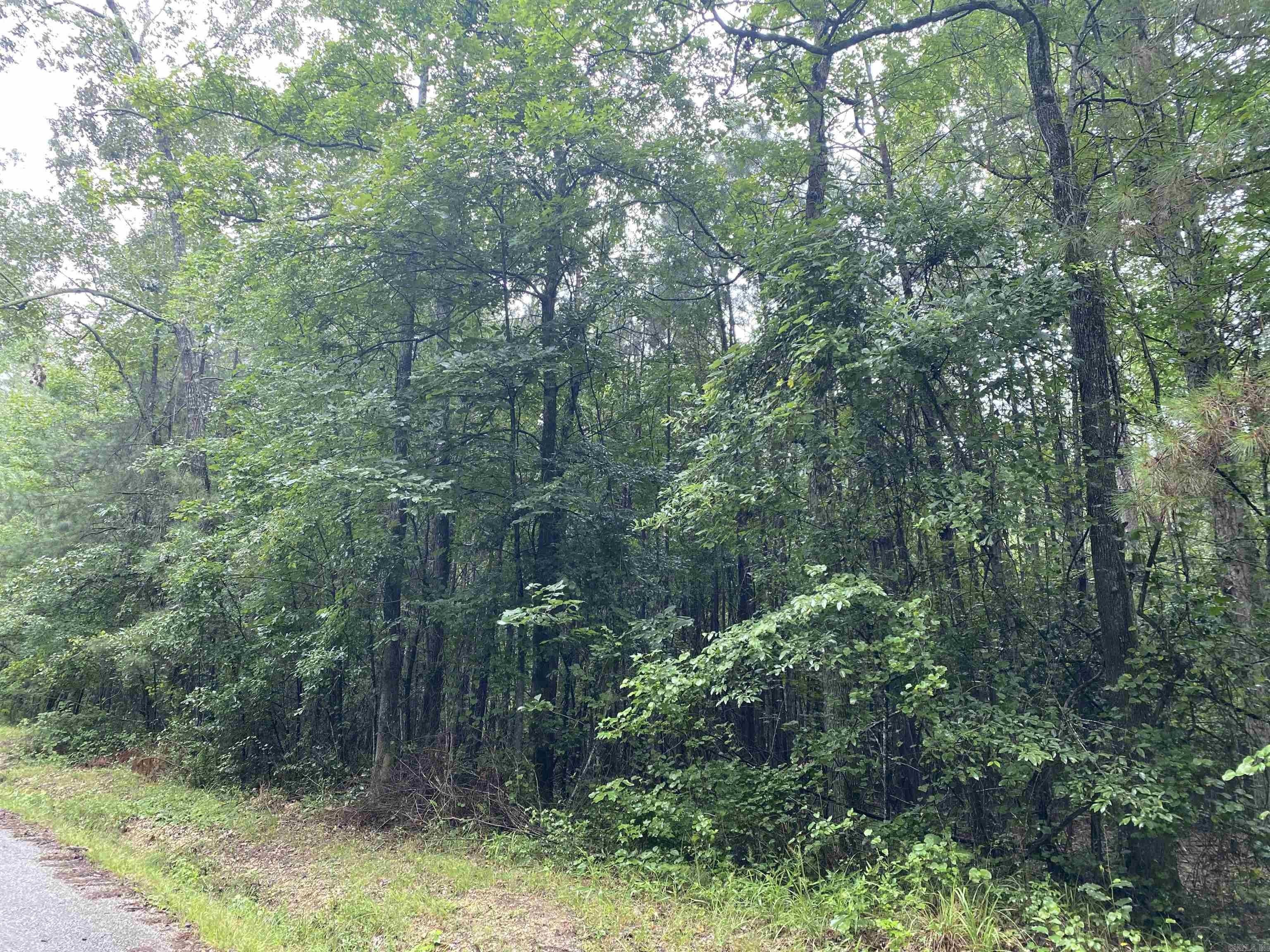 Sheridan, Grant County, AR Undeveloped Land for sale Property ID