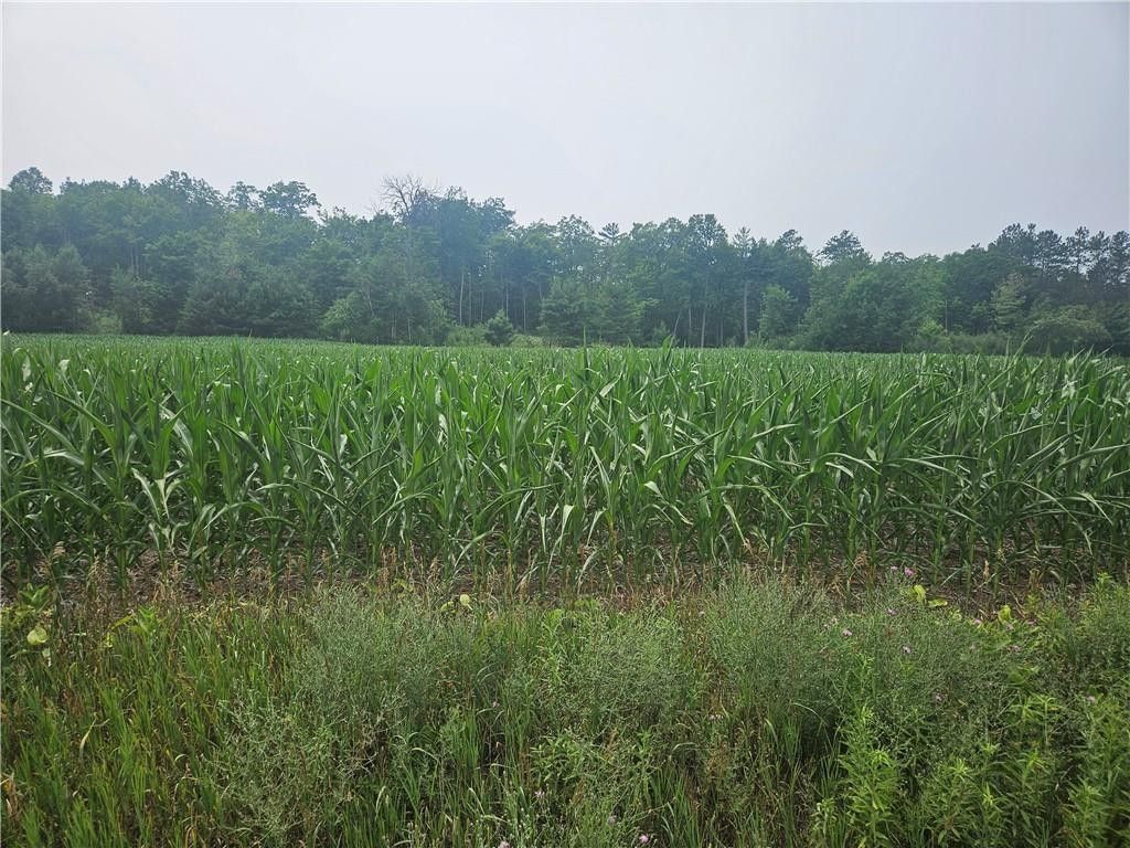 Hayward, Sawyer County, WI Farms and Ranches, Homesites for sale