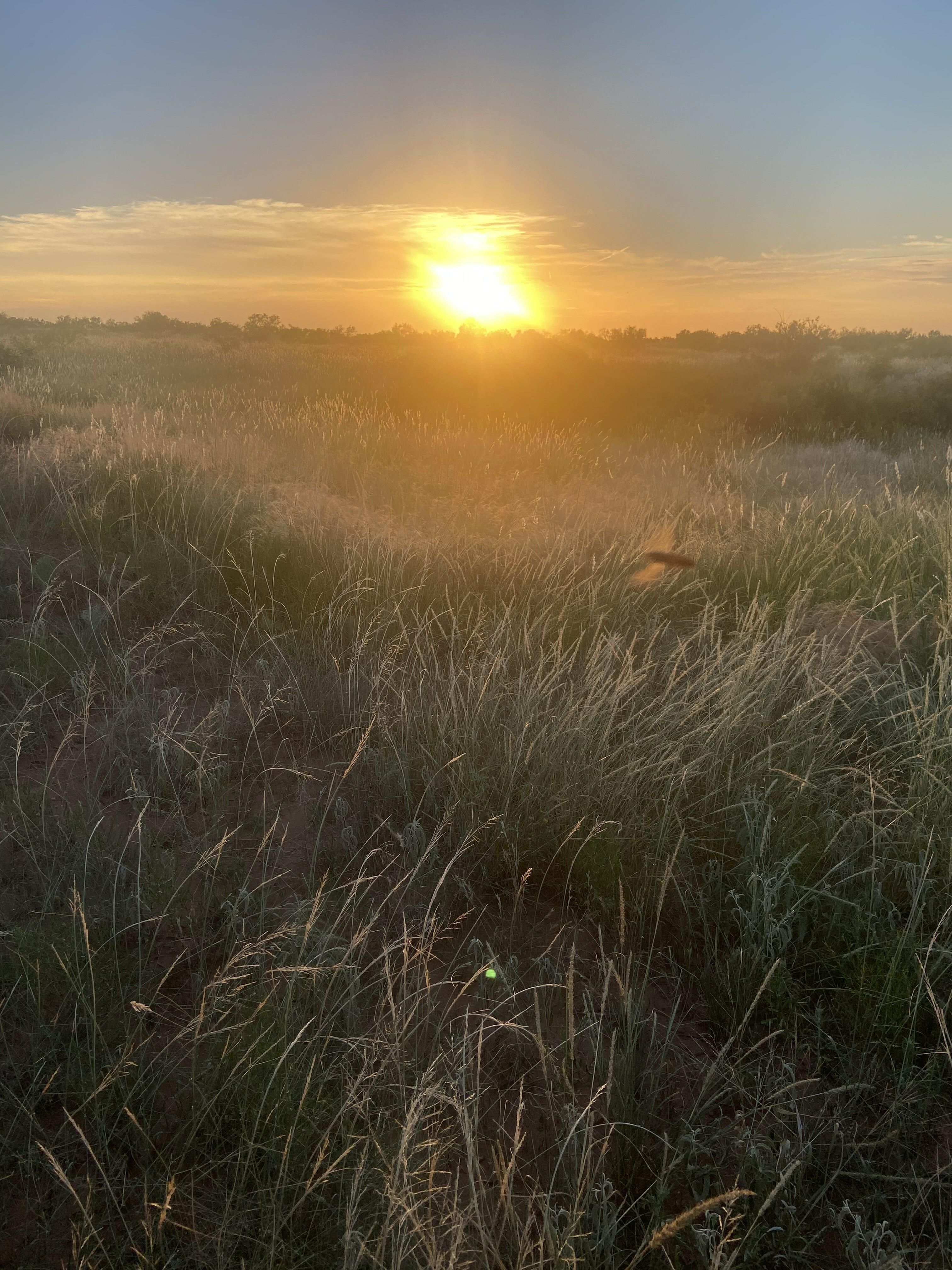 Aspermont, Stonewall County, TX Farms and Ranches, Recreational
