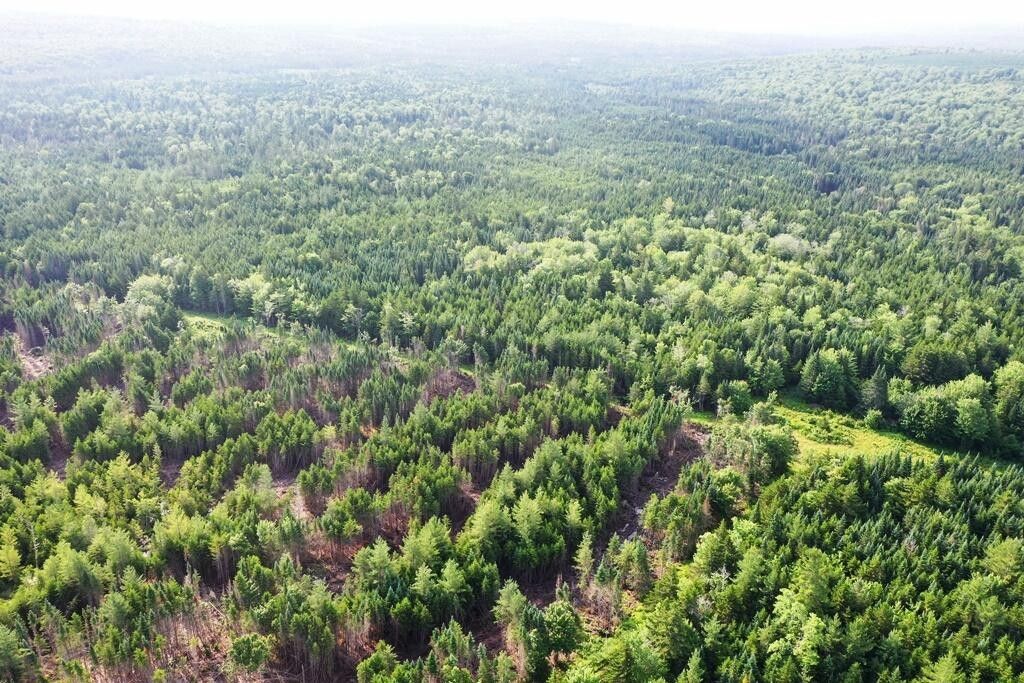 Shirley, Piscataquis County, ME Undeveloped Land, Lakefront Property
