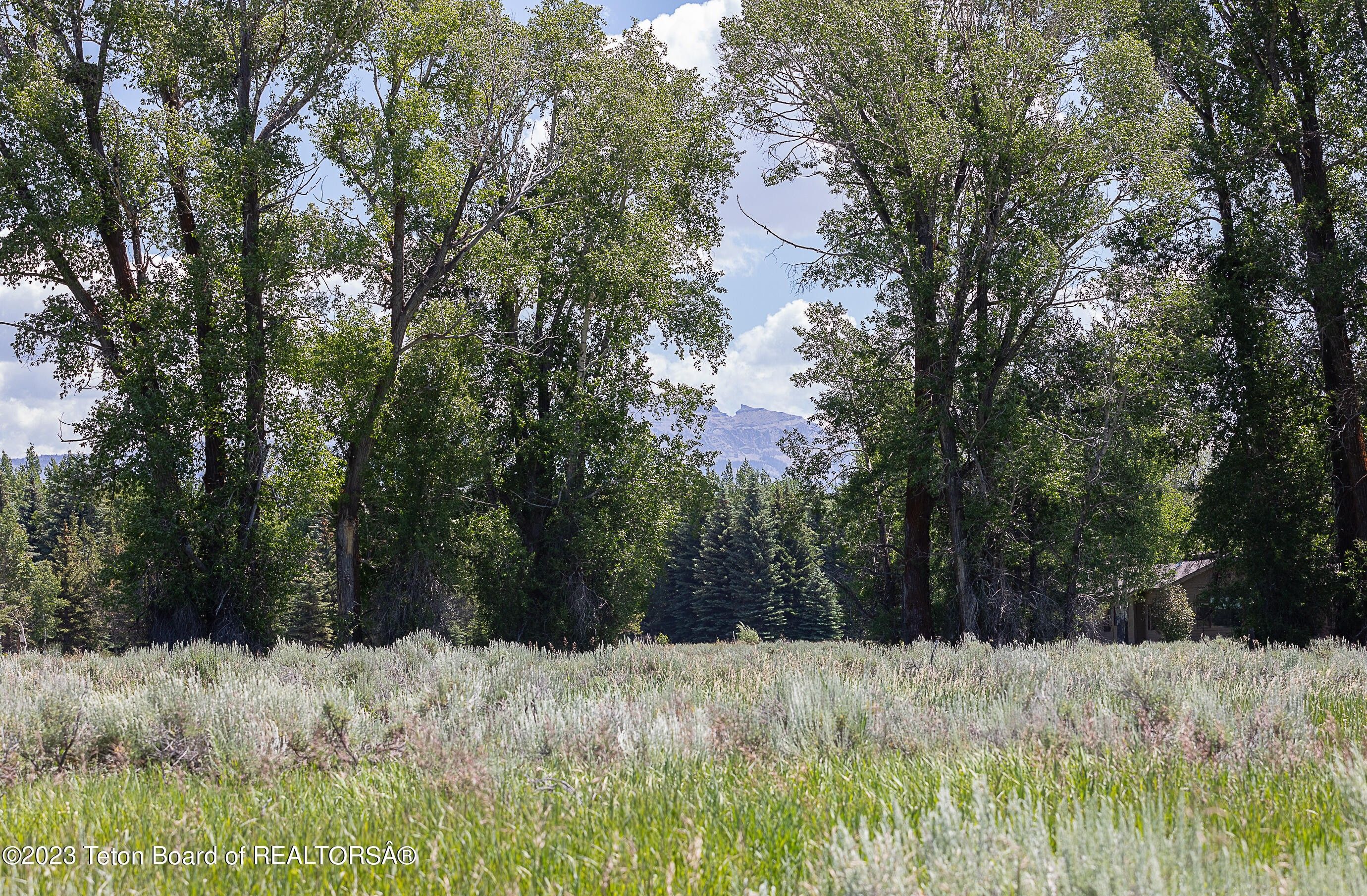 Jackson, Teton County, WY Undeveloped Land, Homesites for sale Property