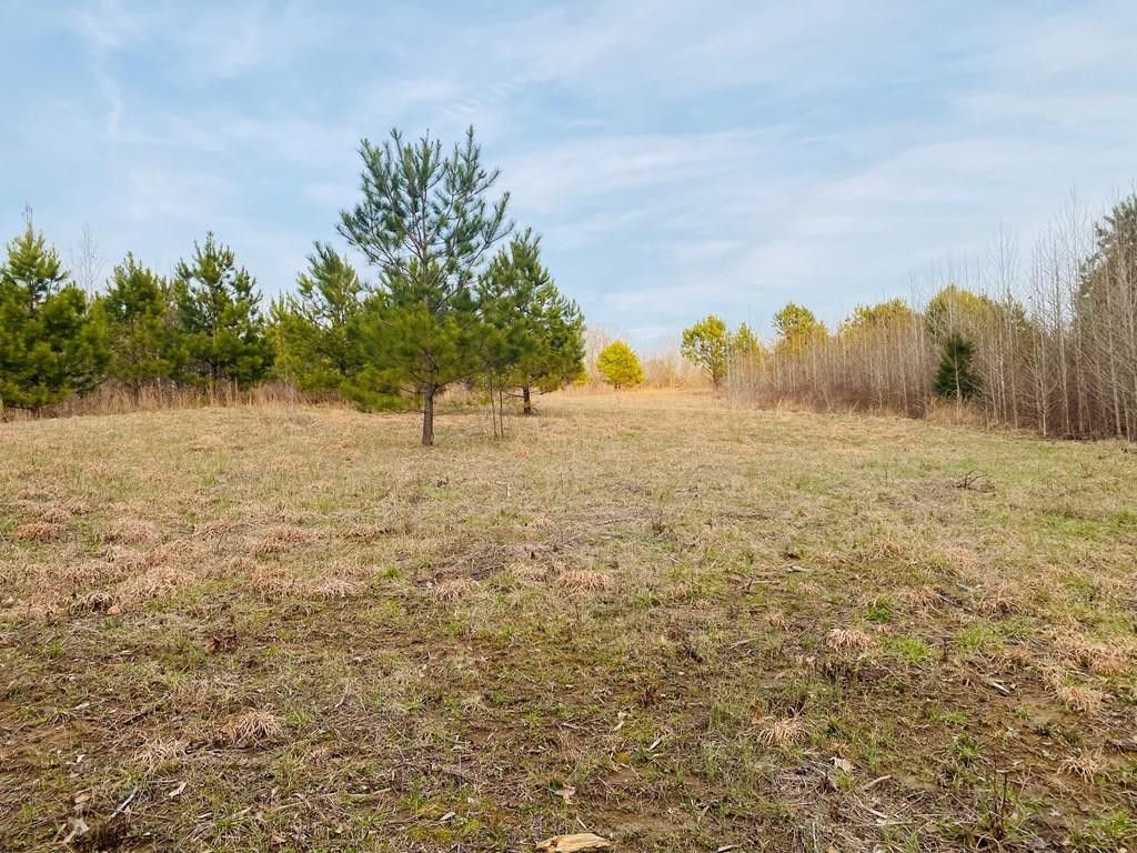 Pope, Panola County, MS Farms and Ranches, Lakefront Property, Waterfront Property for sale