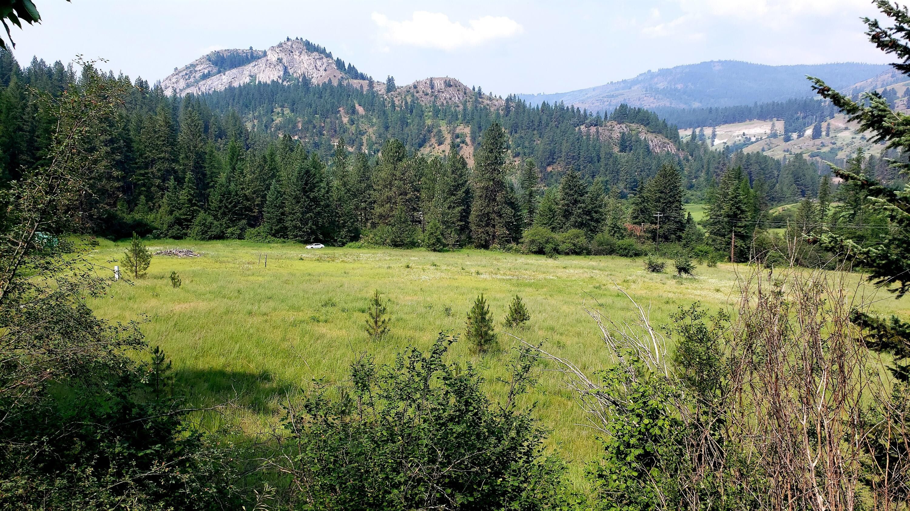 Northport, Stevens County, WA Farms and Ranches for sale Property ID