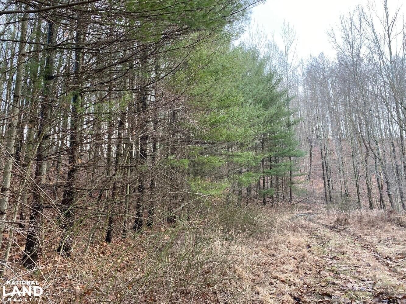 New Plymouth, Hocking County, OH Recreational Property, Timberland