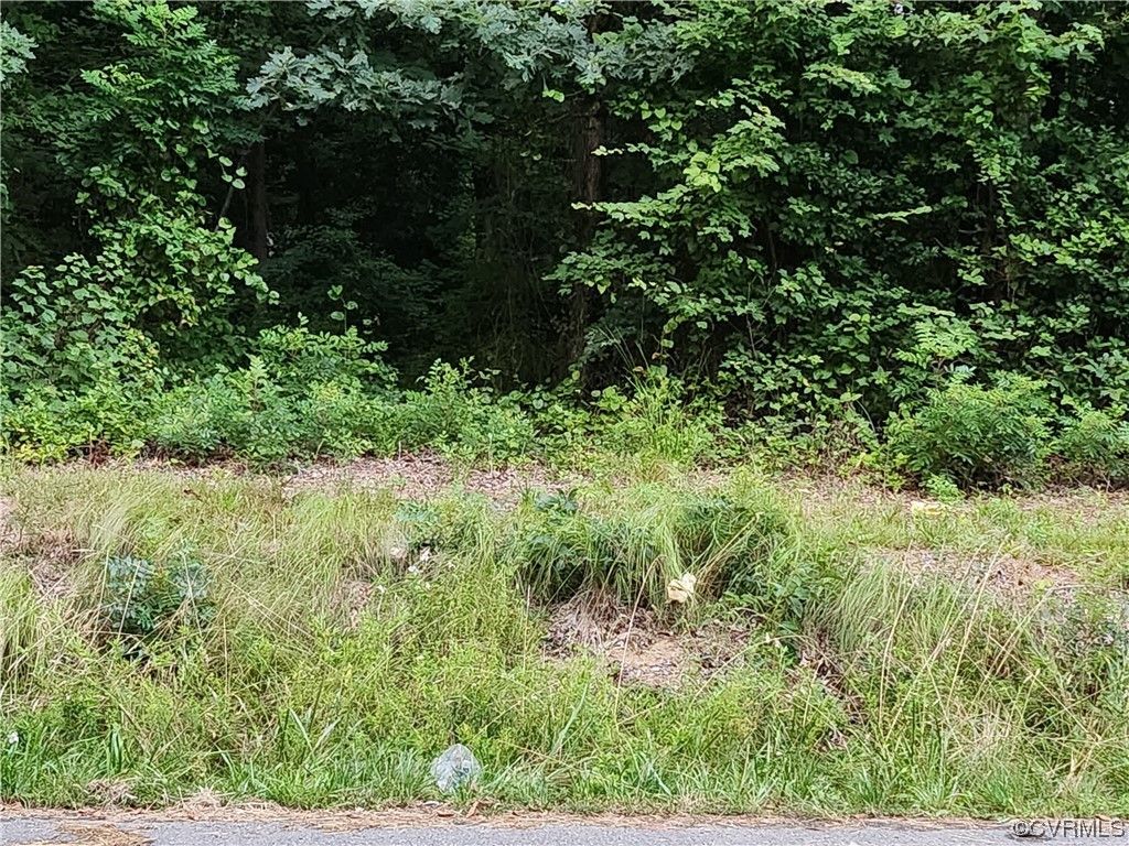 Richmond, Richmond City County, VA Undeveloped Land, Homesites for sale