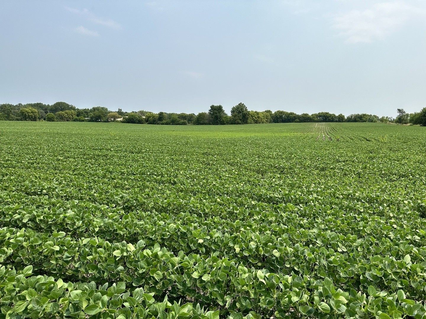 Marengo, McHenry County, IL Farms and Ranches for sale Property ID