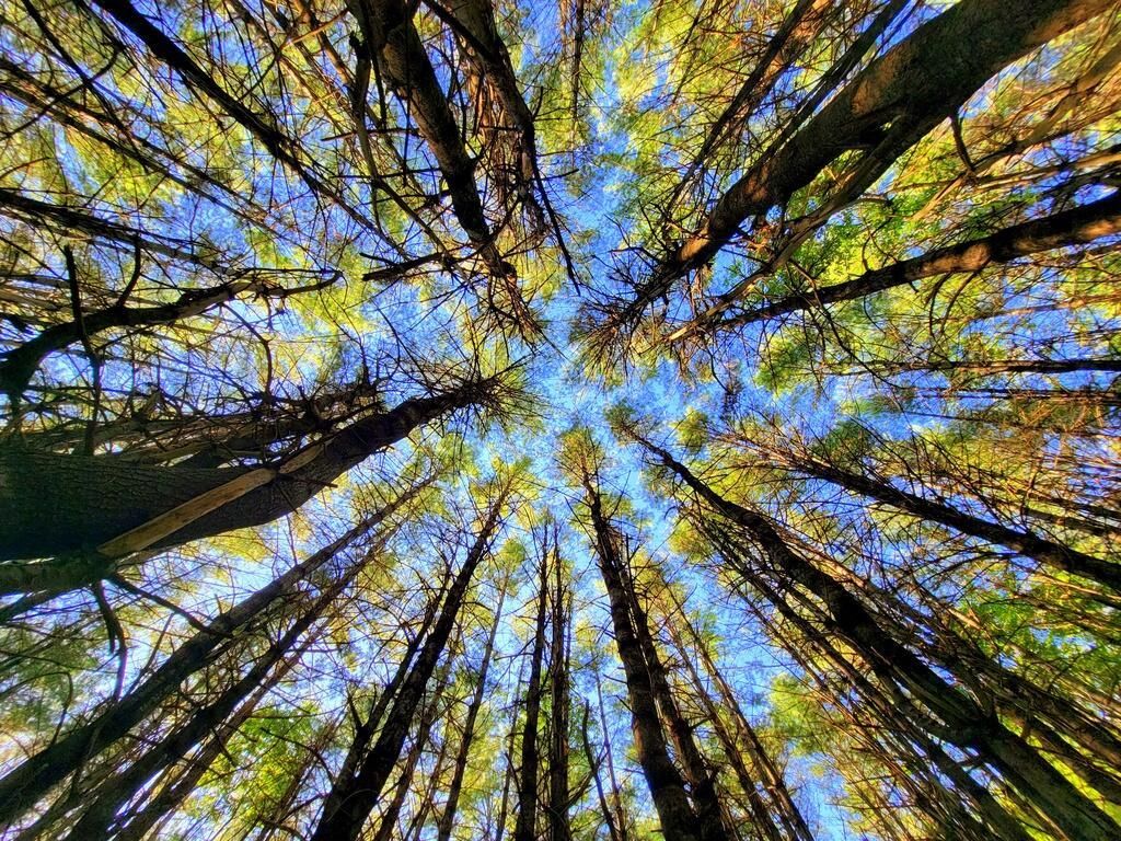 Vienna, Kennebec County, ME Undeveloped Land for sale Property ID