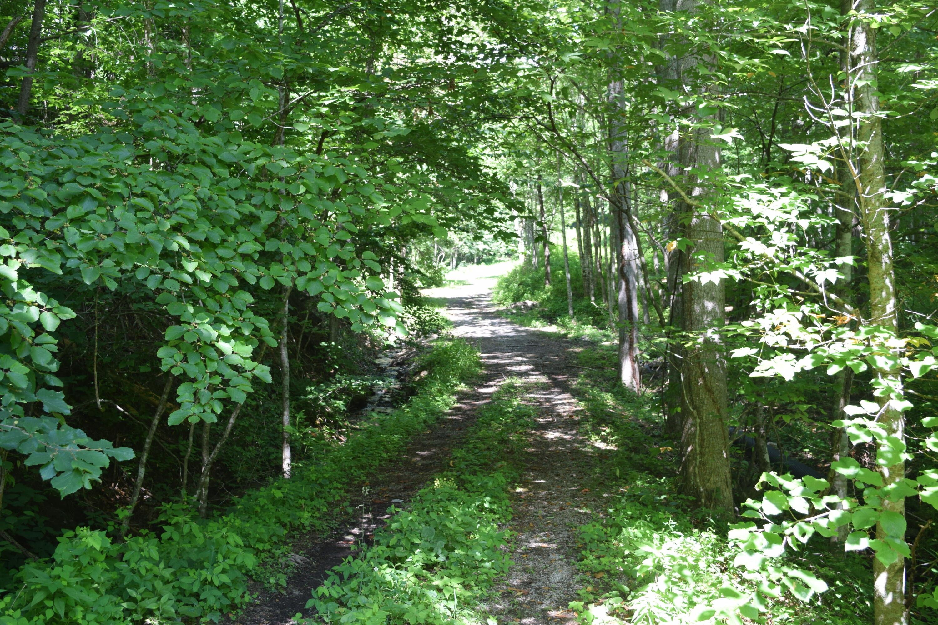 Unicoi, Unicoi County, TN Farms and Ranches for sale Property ID