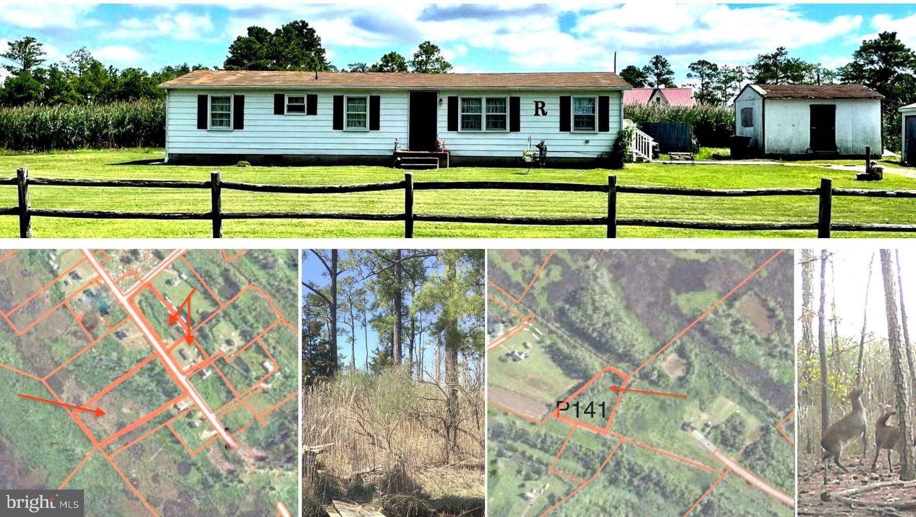 Toddville, Dorchester County, MD House for sale Property ID 416480960