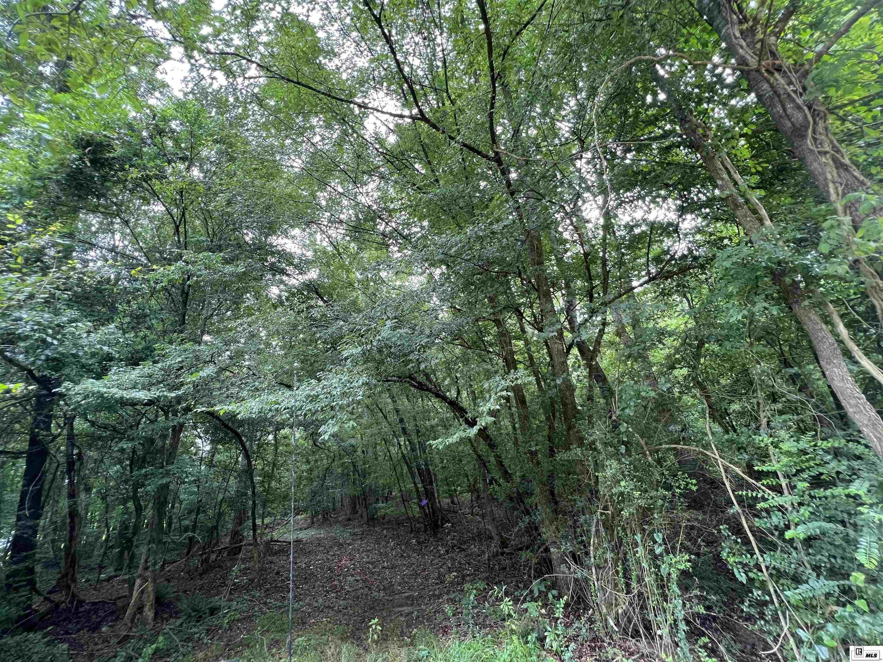 Downsville, Union Parish, LA Undeveloped Land for sale Property ID