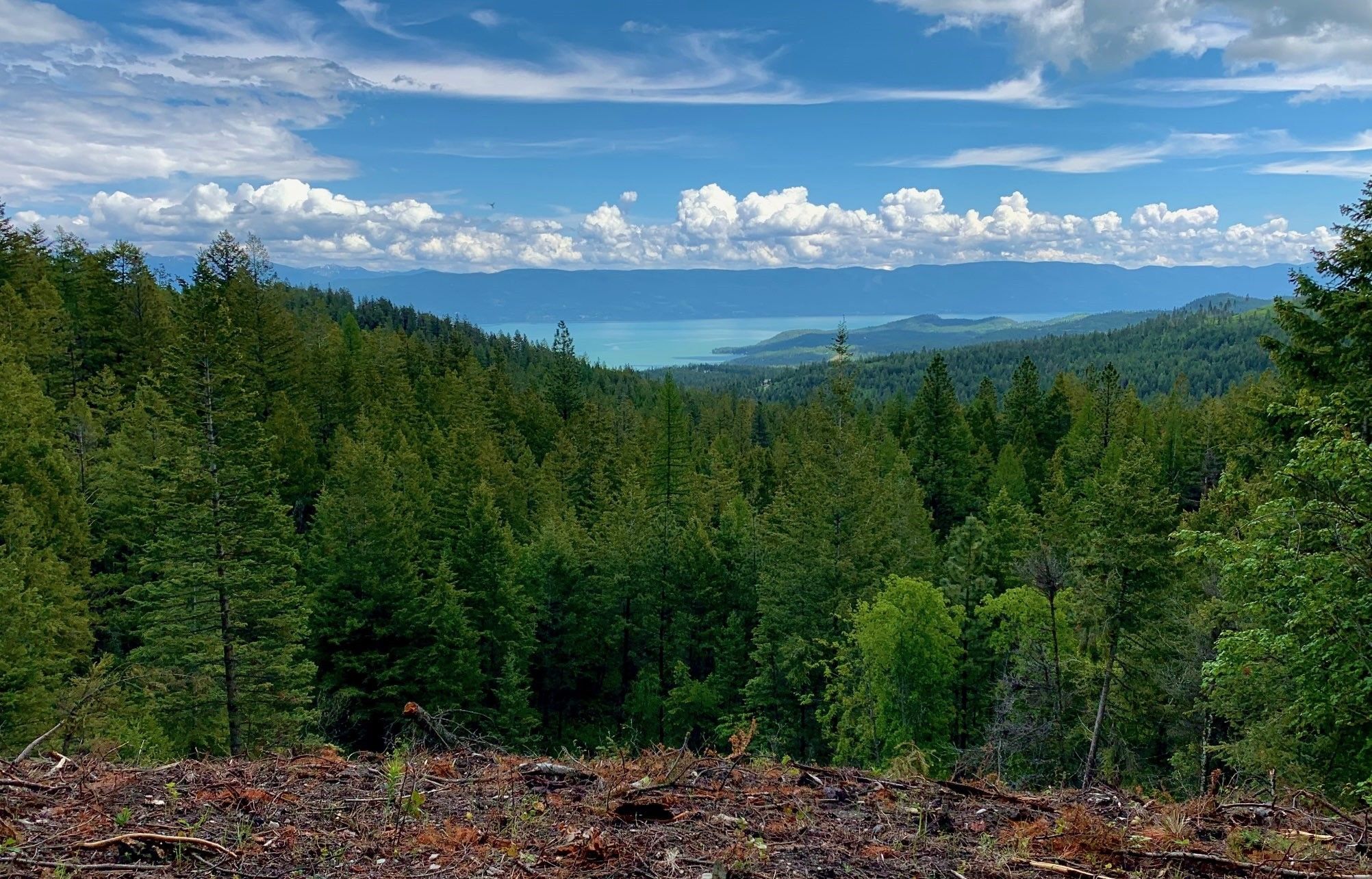 Lakeside, Flathead County, MT Farms and Ranches for sale Property ID