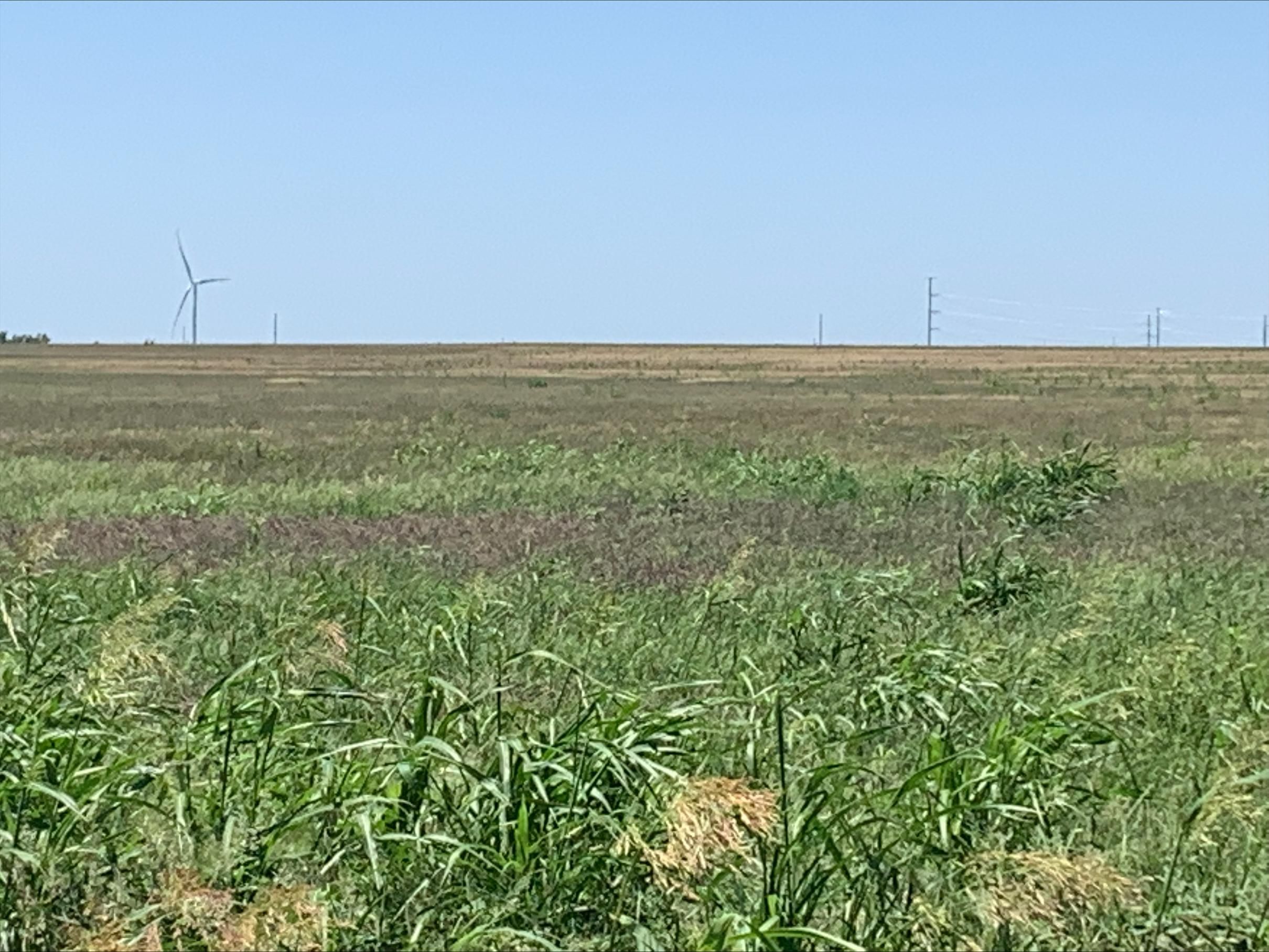 Rocky, Washita County, OK Farms and Ranches for sale Property ID