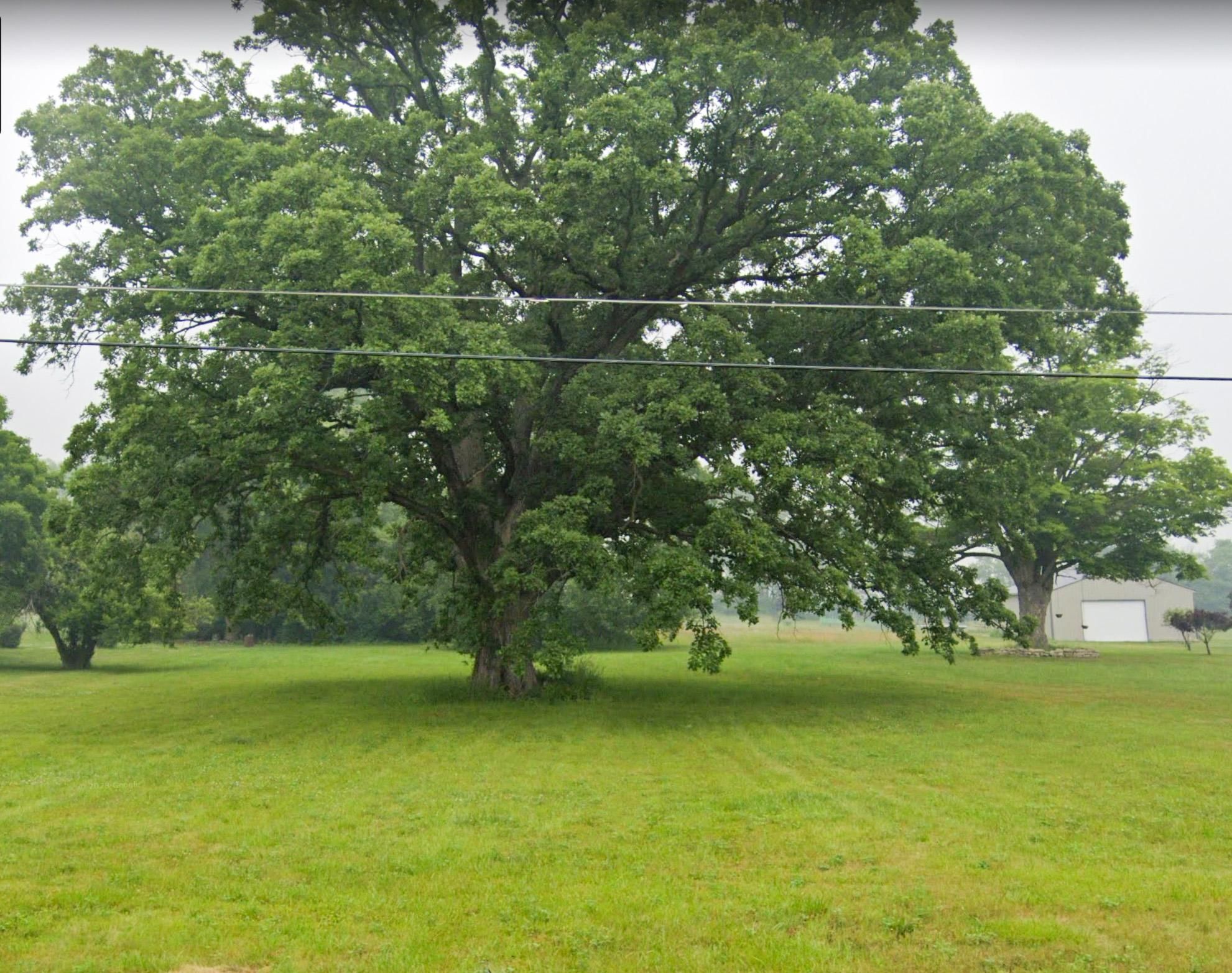 Mount Morris, Genesee County, MI Undeveloped Land, Homesites for sale