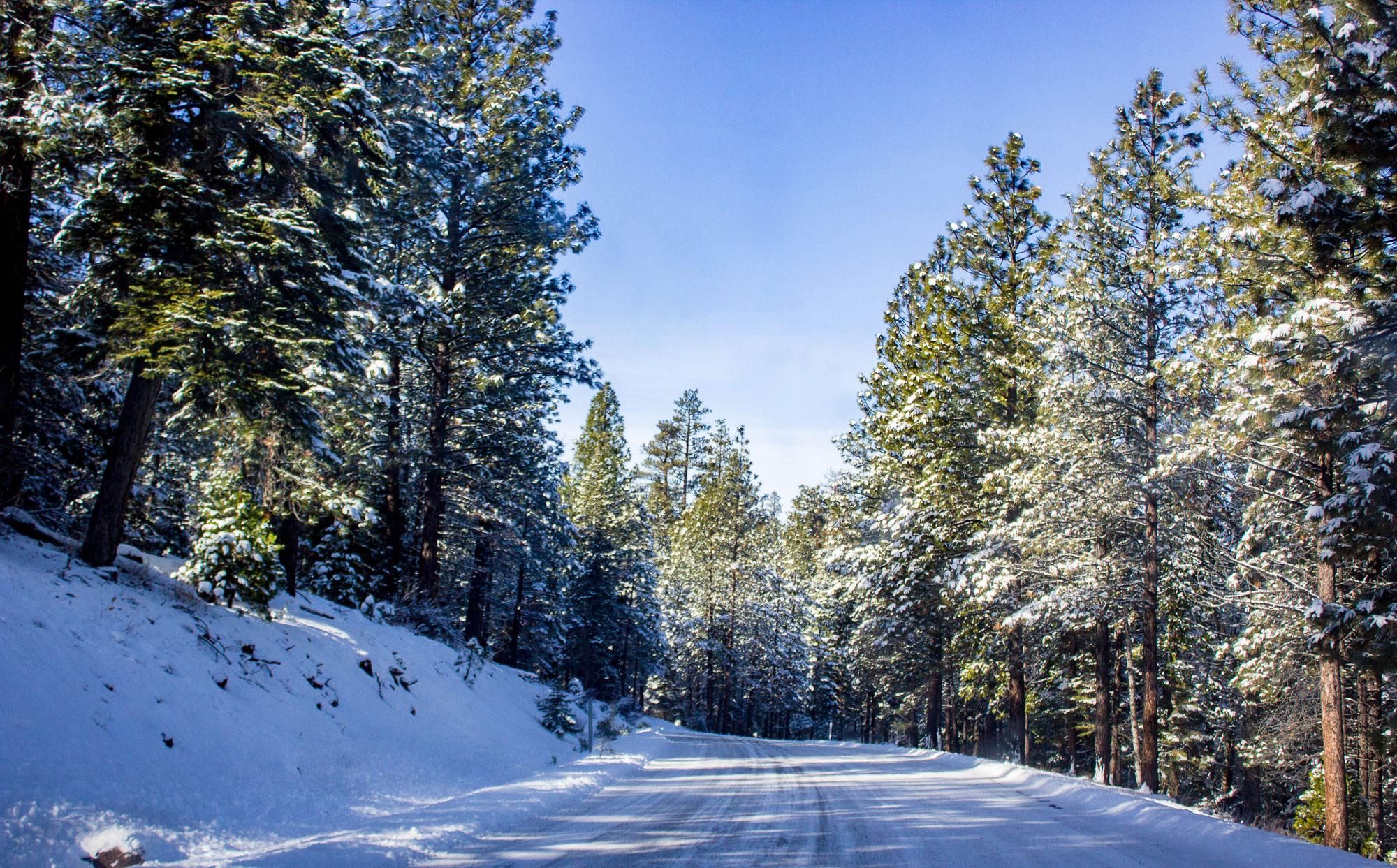 1 acres in California Pines, CA, 96101 LandWatch