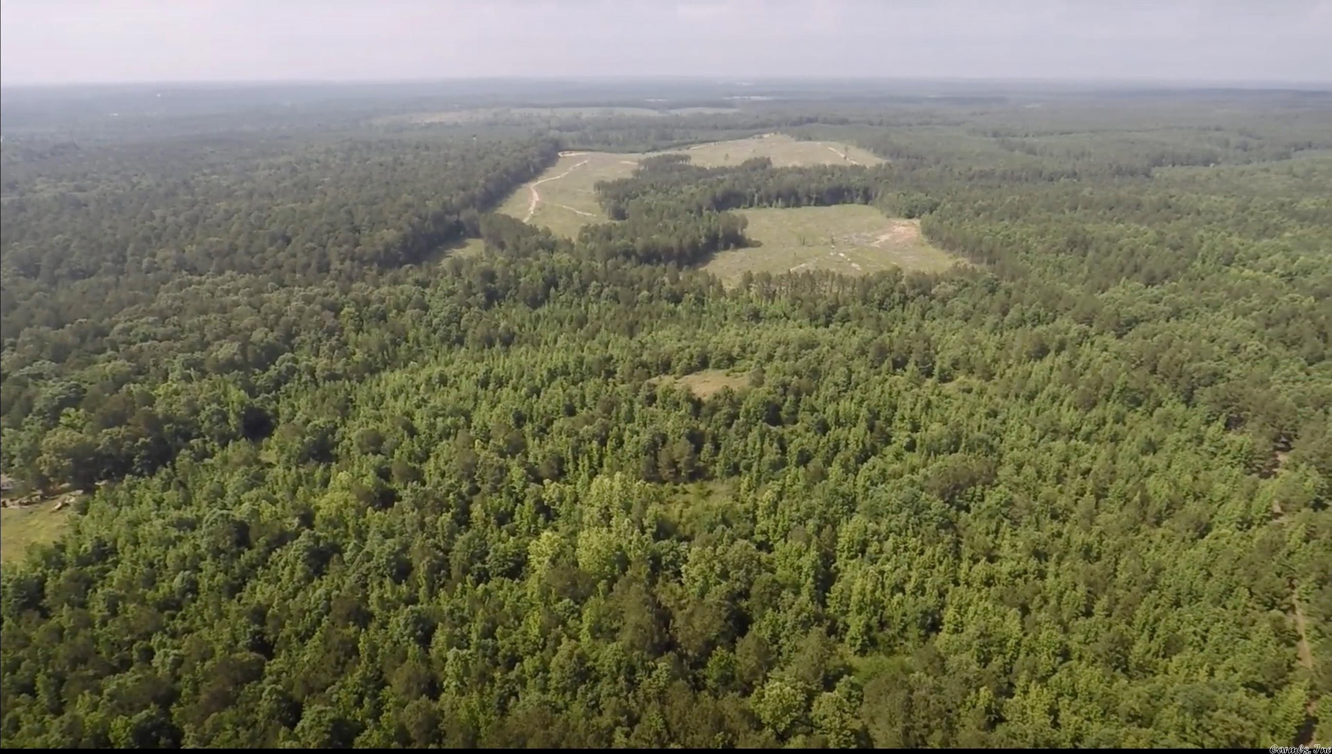 Murfreesboro, Pike County, AR Undeveloped Land for sale Property ID