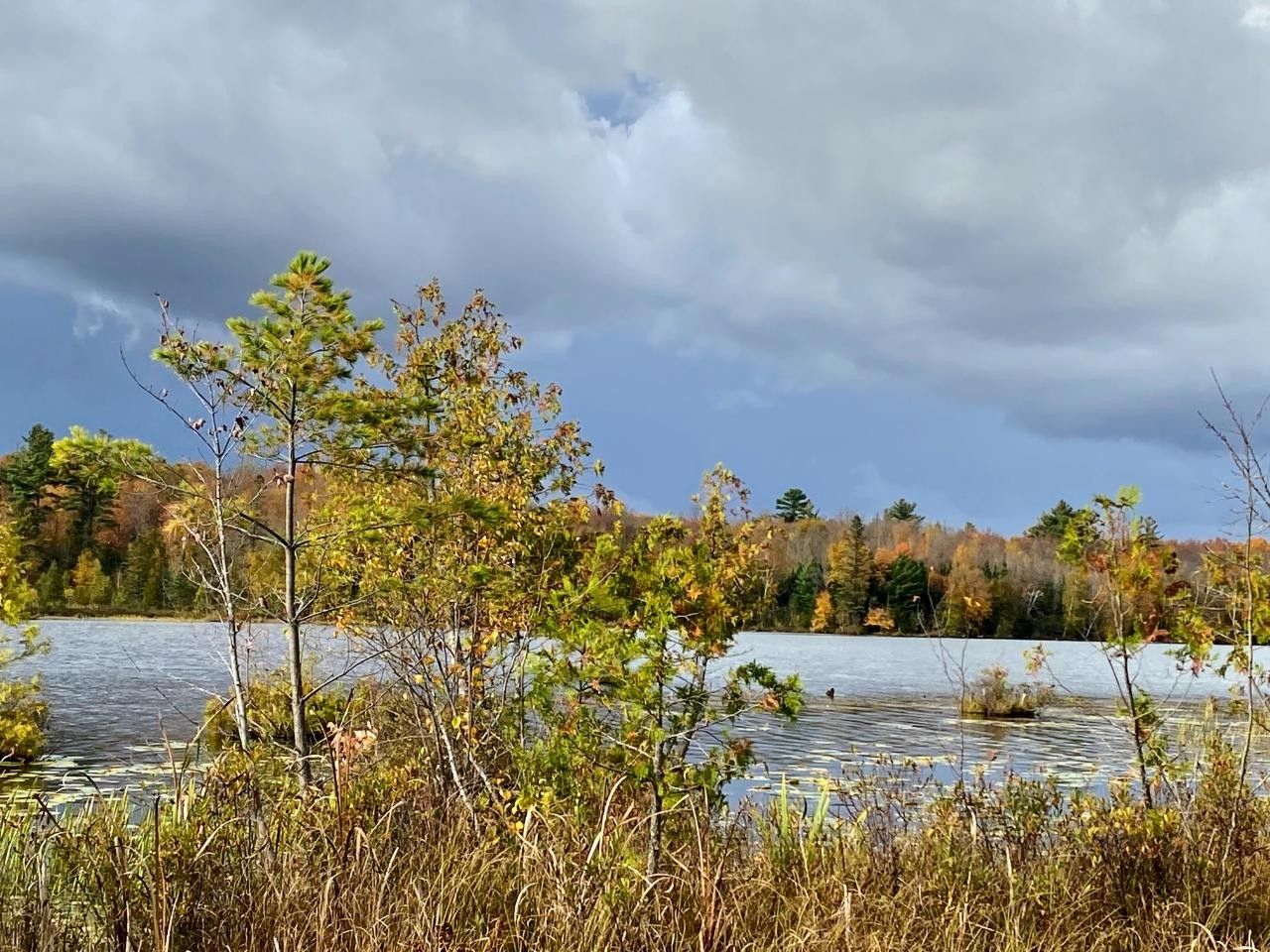 Park Falls, Price County, WI Undeveloped Land, Lakefront Property, Waterfront Property for sale