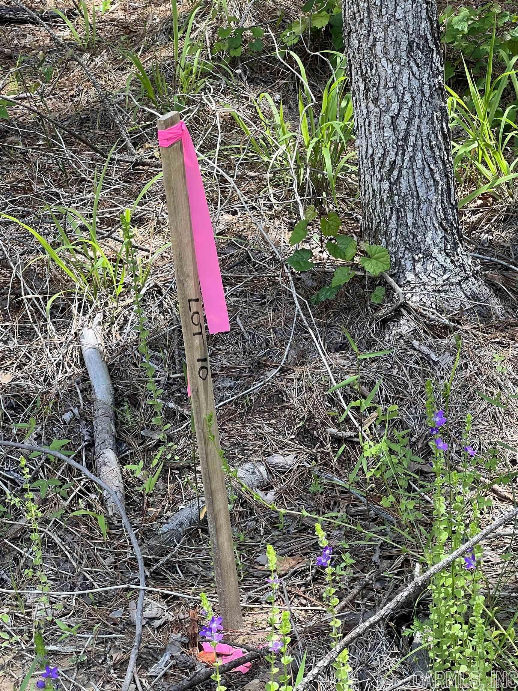 Glenwood, Pike County, AR Undeveloped Land, Homesites for sale Property