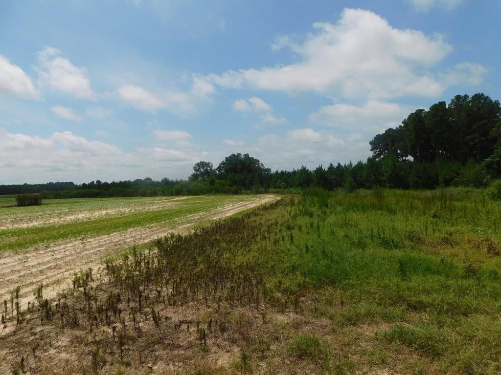 Ashburn, Turner County, GA Farms and Ranches for sale Property ID