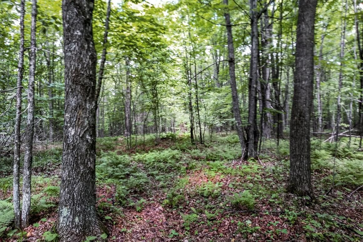 Crandon, Forest County, WI Recreational Property, Hunting Property for