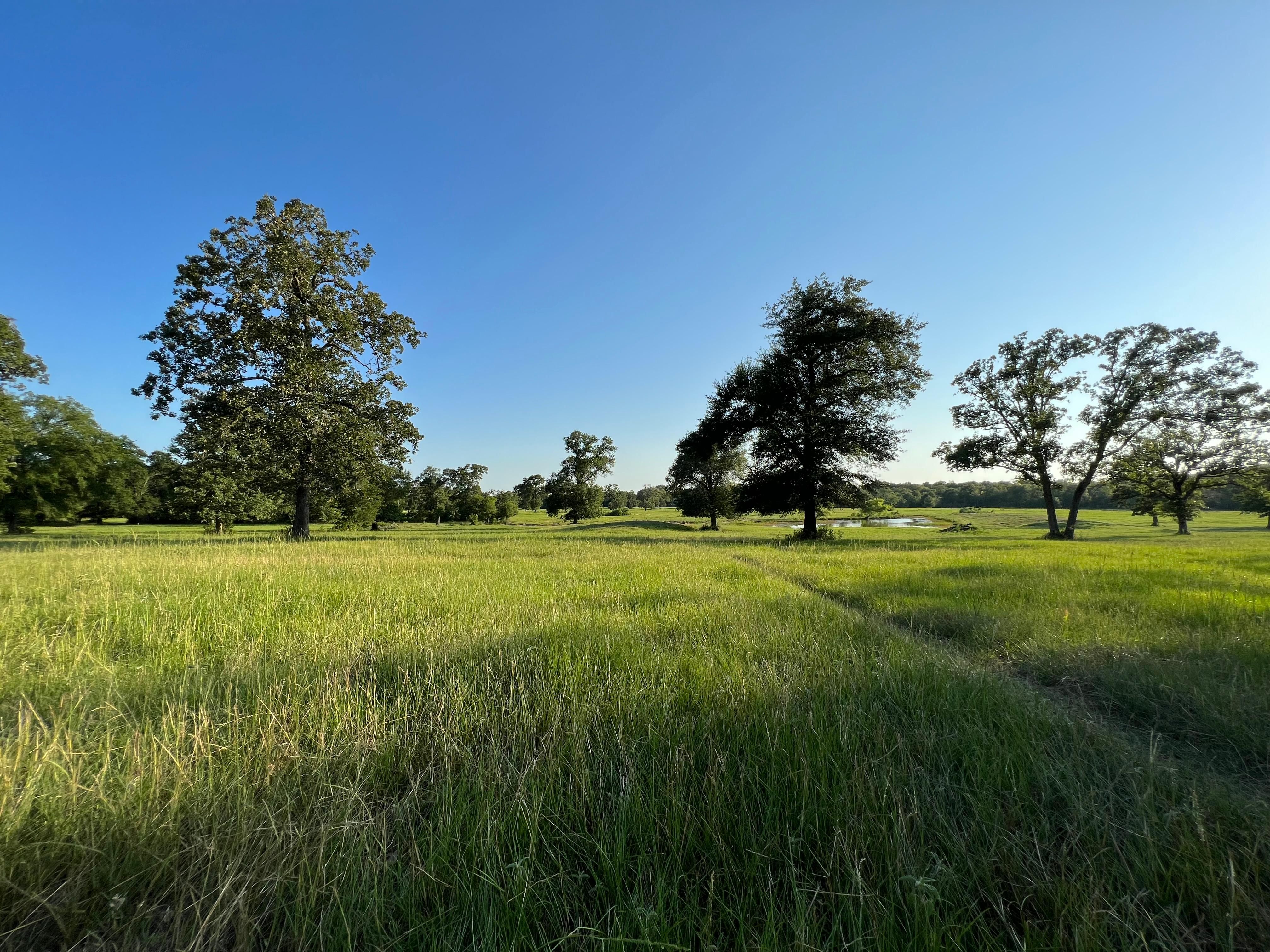 19585 Farm to Market Road 2620, Bedias, TX 77831 | MLS: 65609077 ...