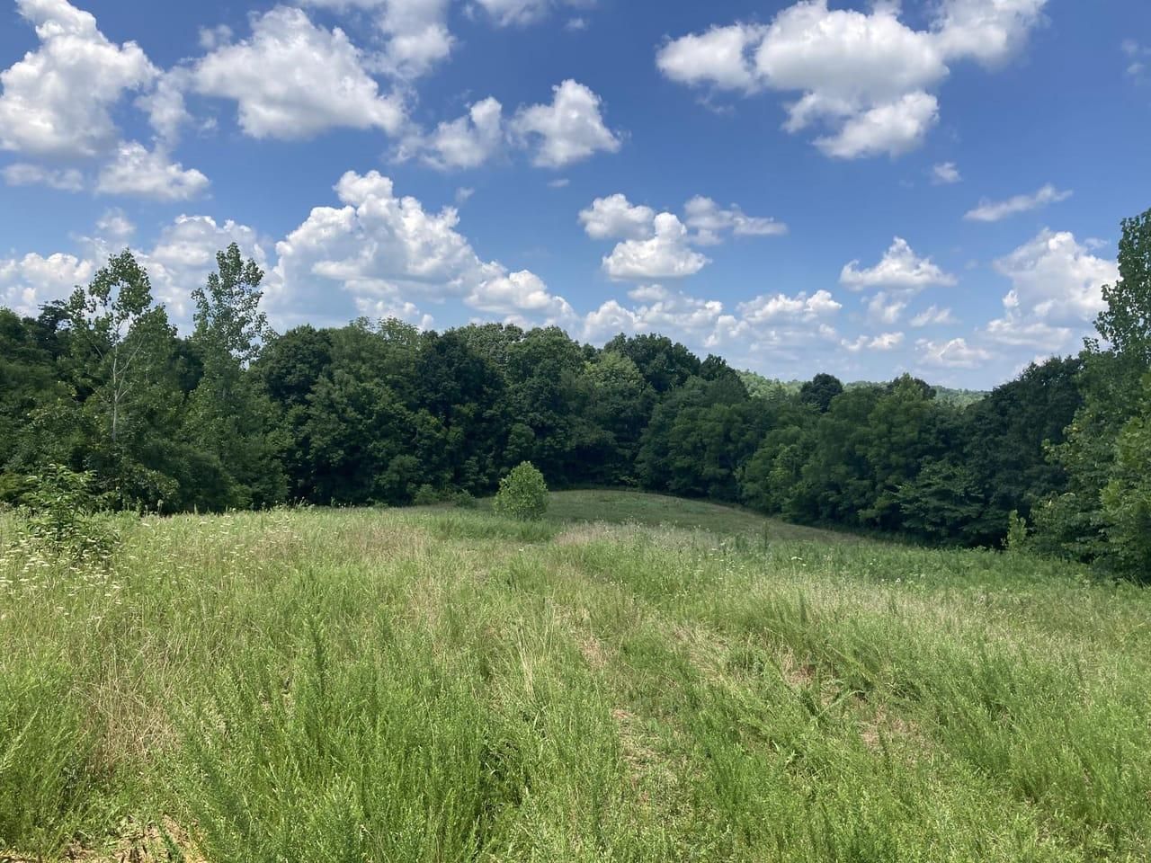 Olaton Road, Caneyville, KY 42721 LandWatch