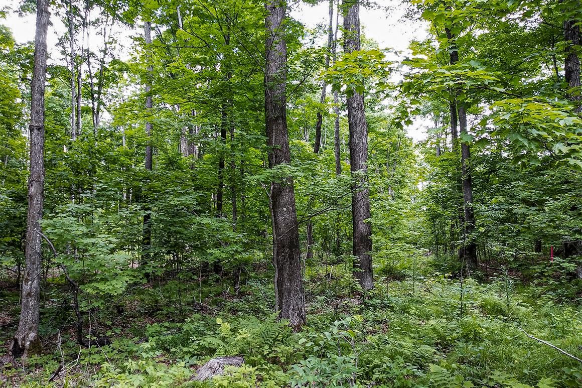 Crandon, Forest County, WI Recreational Property, Hunting Property