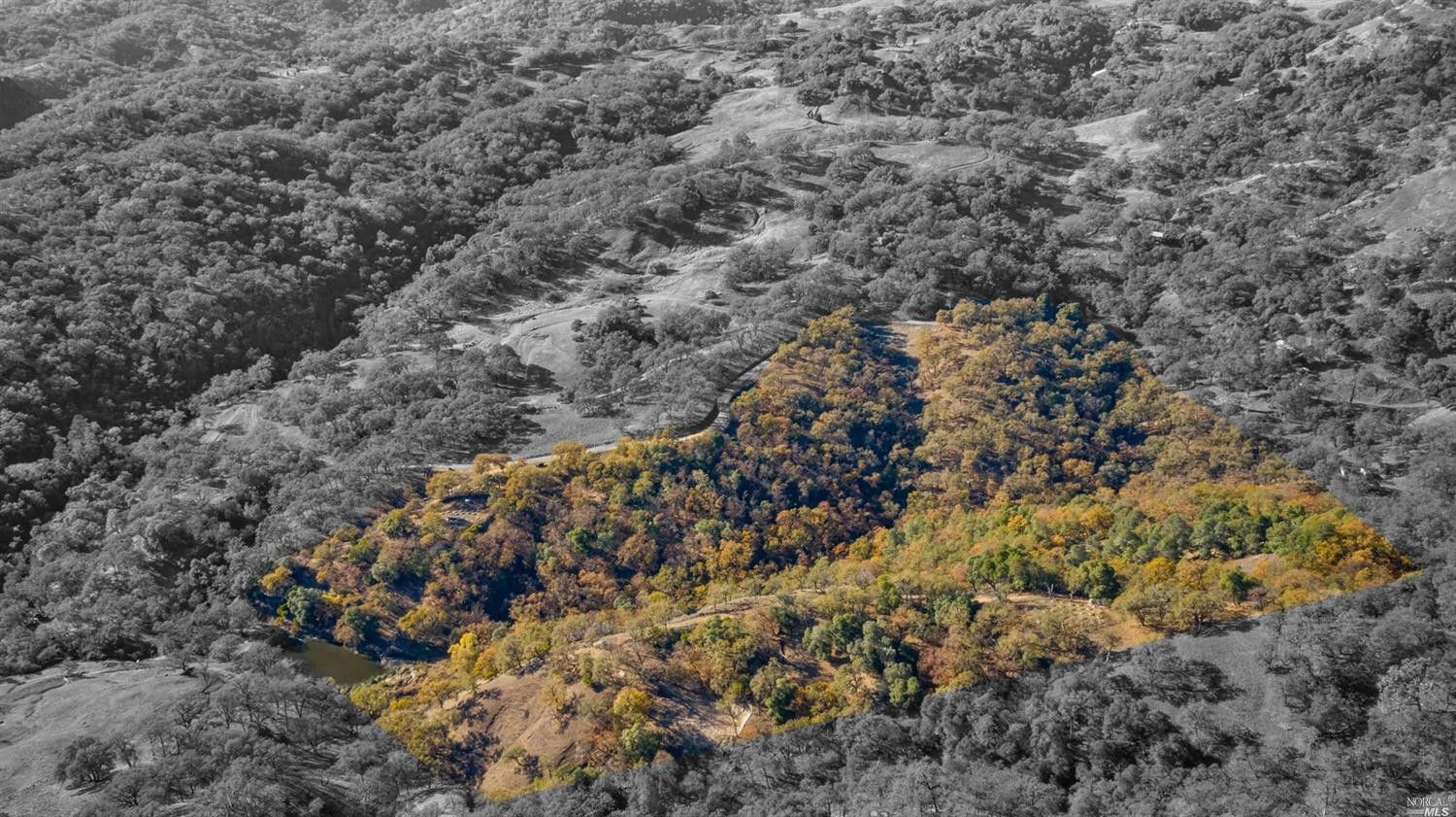 Ukiah, Mendocino County, CA Undeveloped Land for sale Property ID