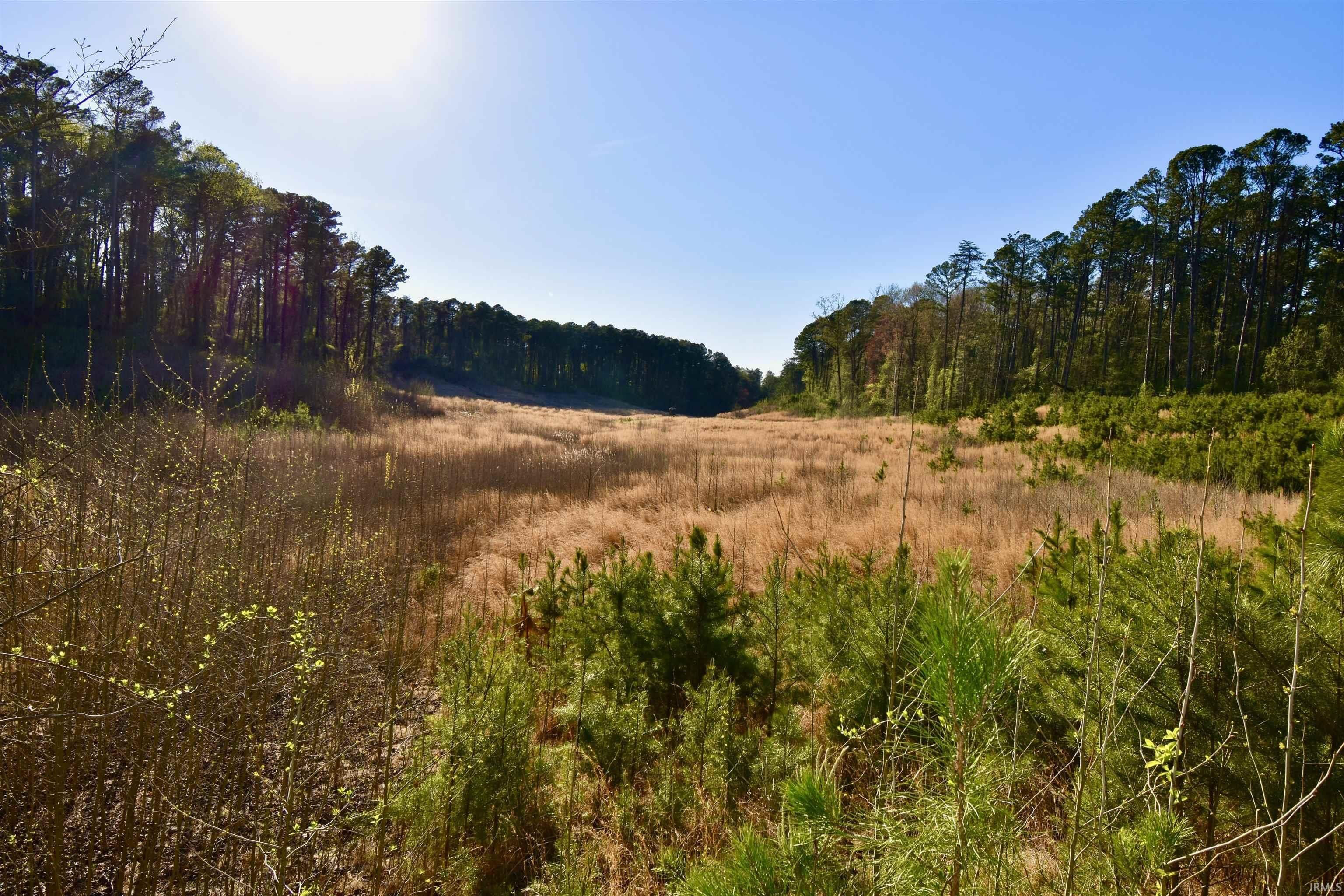 Spurgeon, Pike County, IN Farms and Ranches for sale Property ID