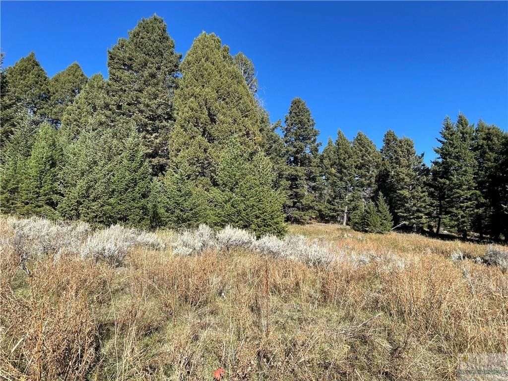 Martinsdale, Meagher County, MT Farms and Ranches, Homesites for sale