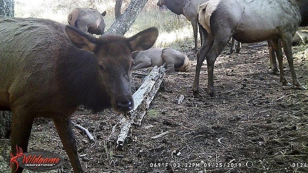 Missoula, Missoula County, MT Farms and Ranches, Lakefront Property