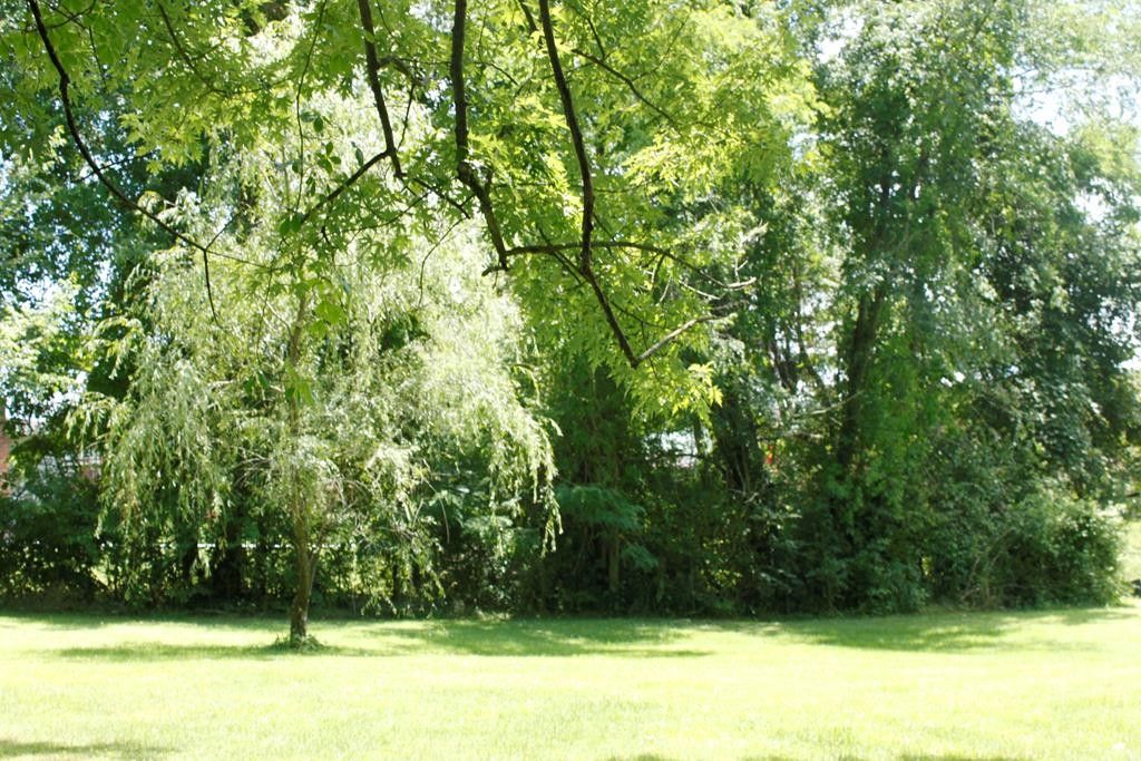 Oak Hill, Fayette County, WV Homesites for sale Property ID 417012703