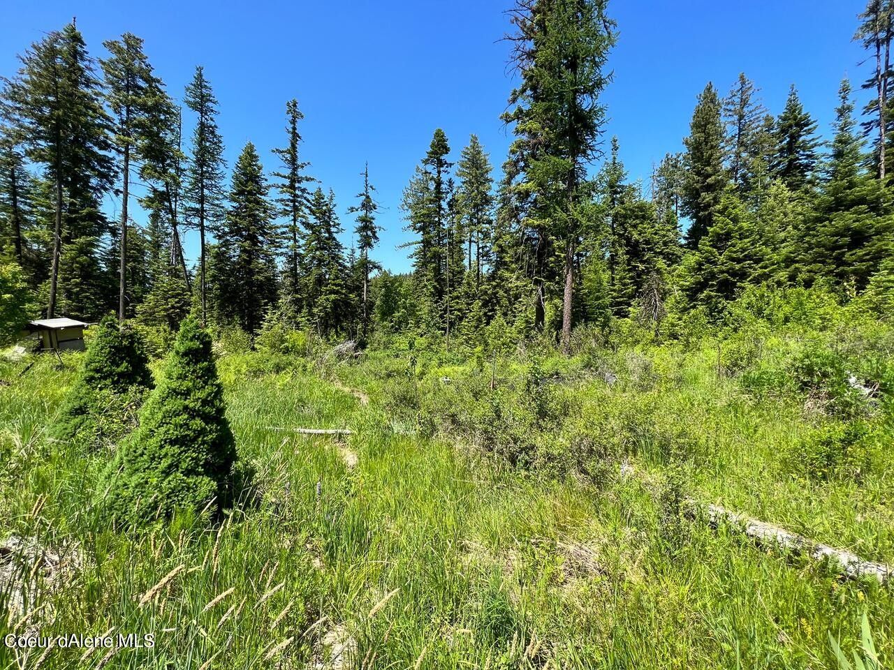 Plummer, Benewah County, ID Undeveloped Land, Homesites for sale