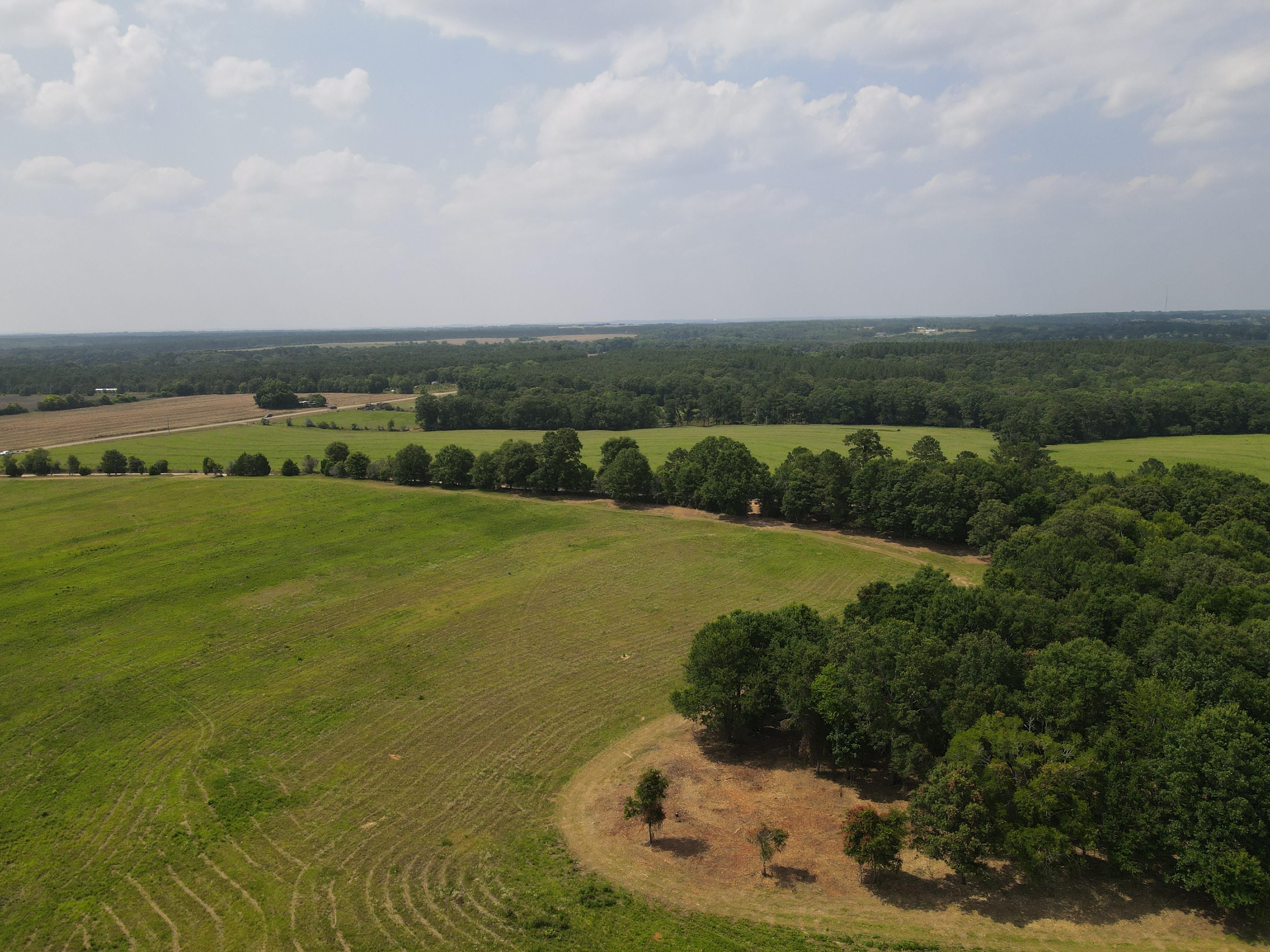 New Brockton, Coffee County, AL for sale Property ID 417013881 LandWatch