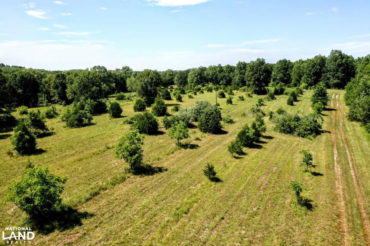 Osceola, Saint Clair County, MO Recreational Property, Timberland