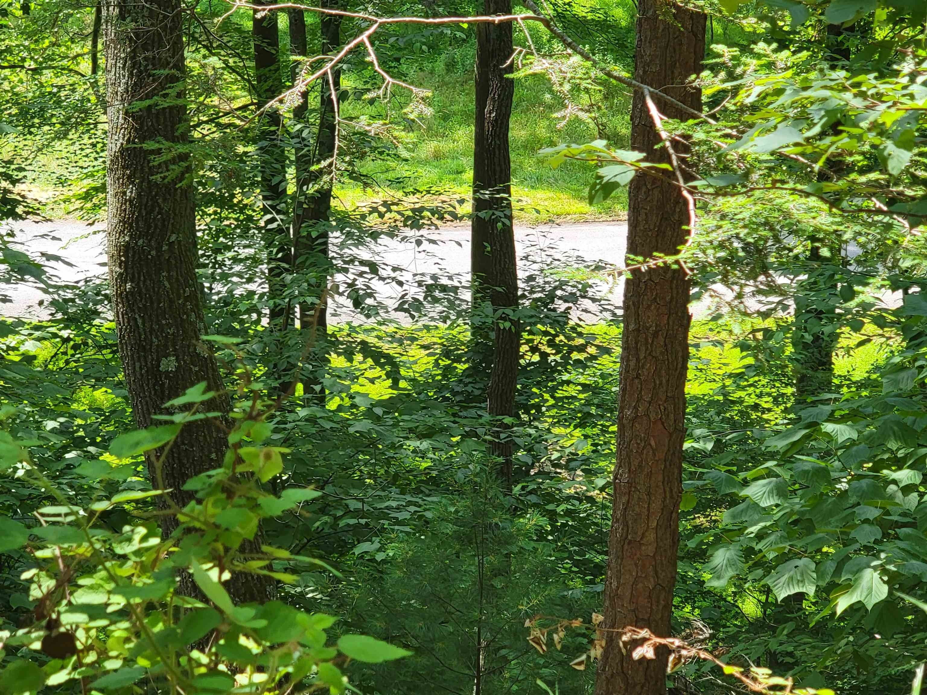 Criders, Rockingham County, VA for sale Property ID 417014048 LandWatch