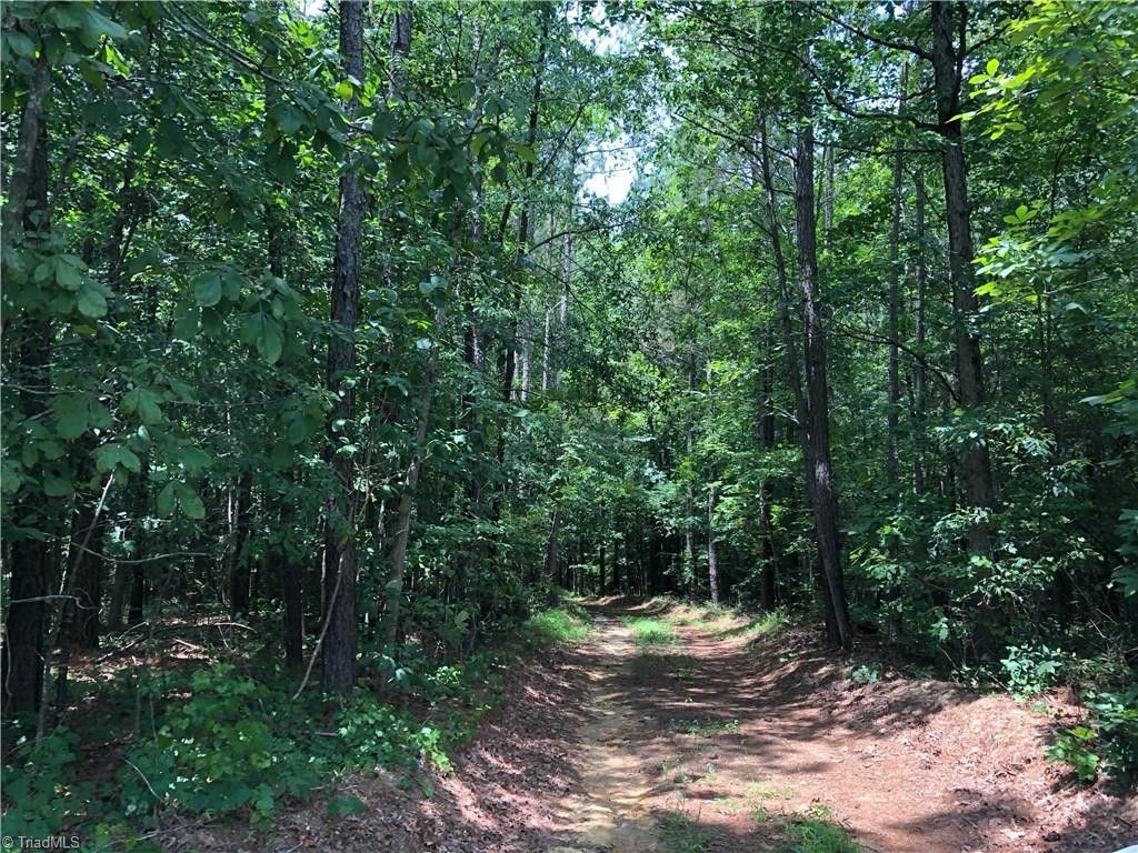 Robbins, Moore County, NC Undeveloped Land for sale Property ID