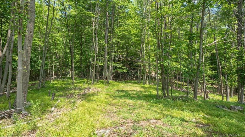 East Fishkill, Dutchess County, NY Undeveloped Land for sale Property