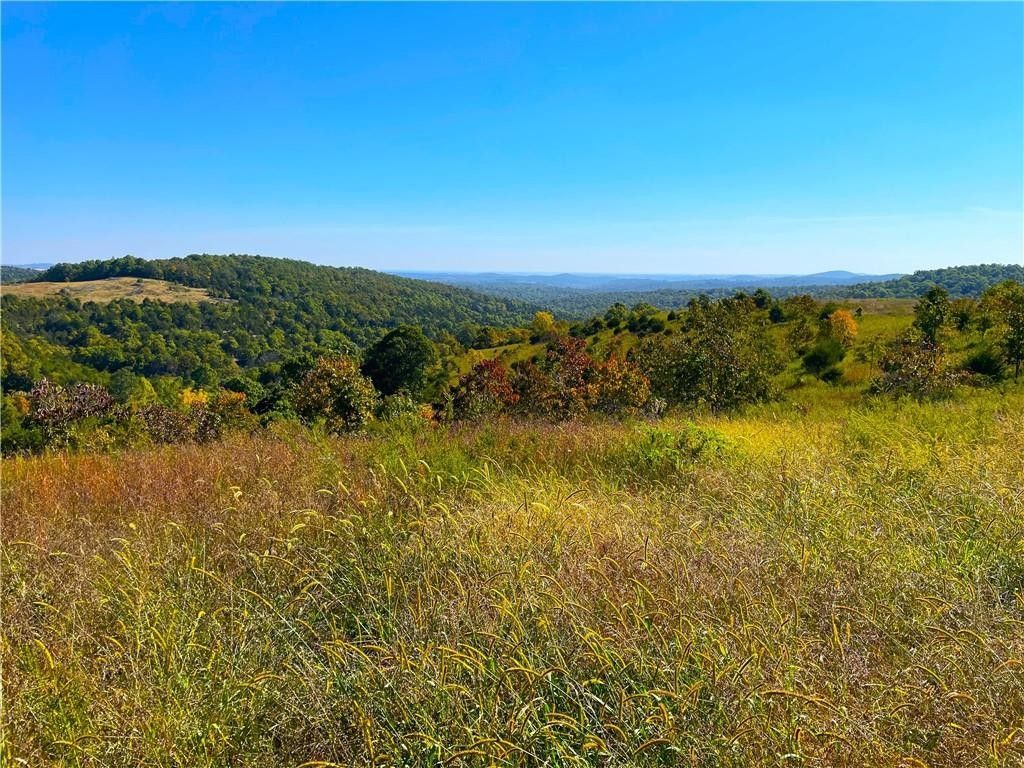 Gainesville, Ozark County, MO Farms and Ranches for sale Property ID