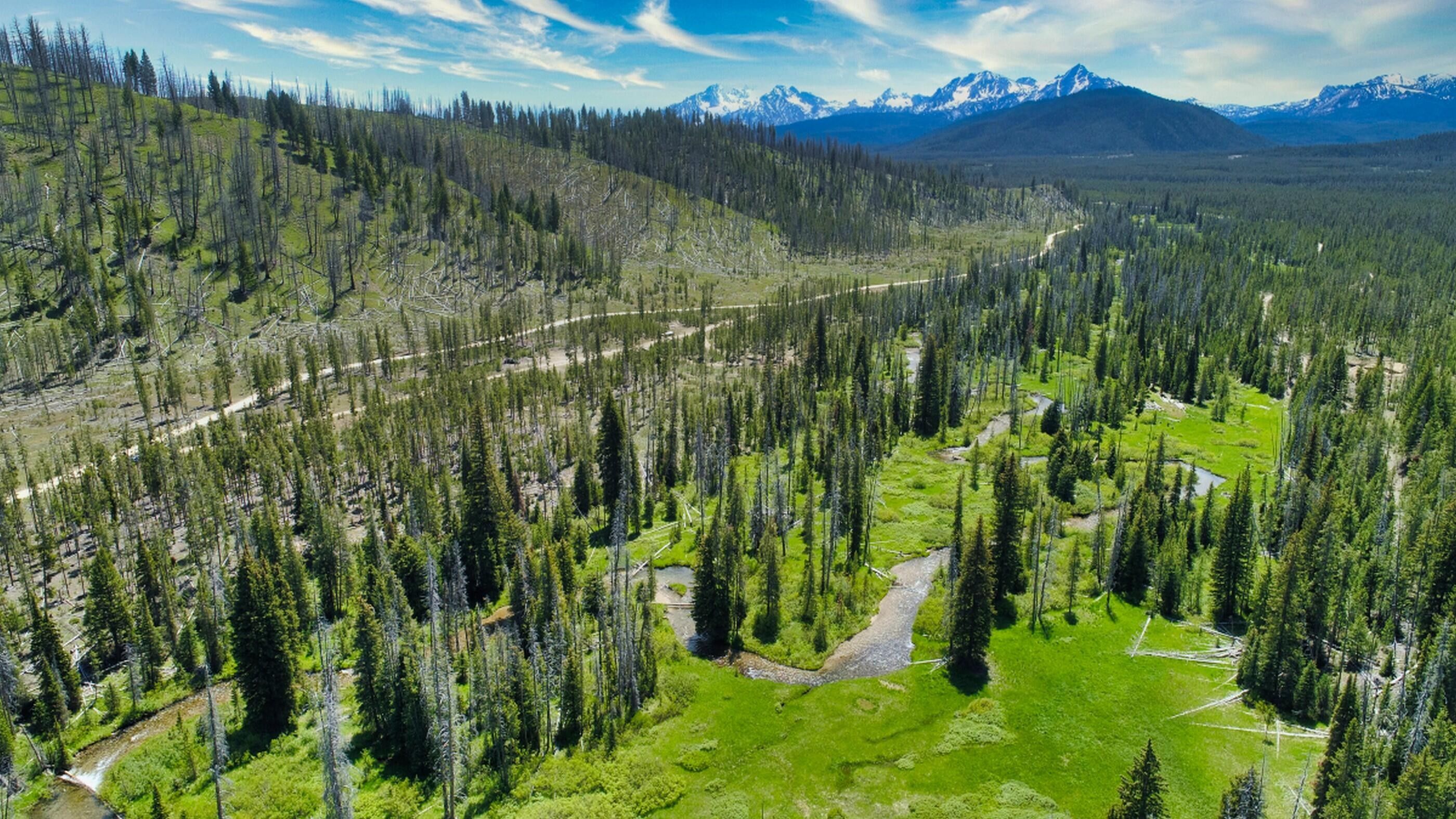 Stanley, Custer County, ID Undeveloped Land, Lakefront Property