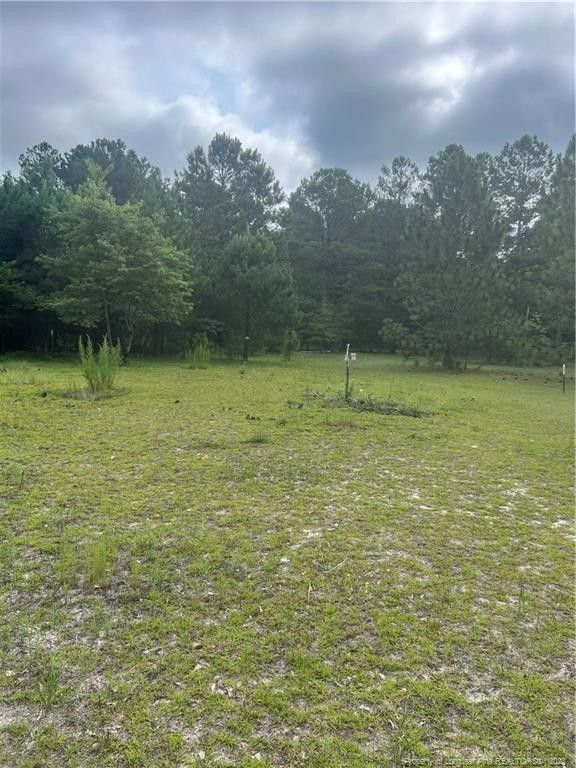 Saint Pauls, Robeson County, NC Farms and Ranches, Homesites for sale