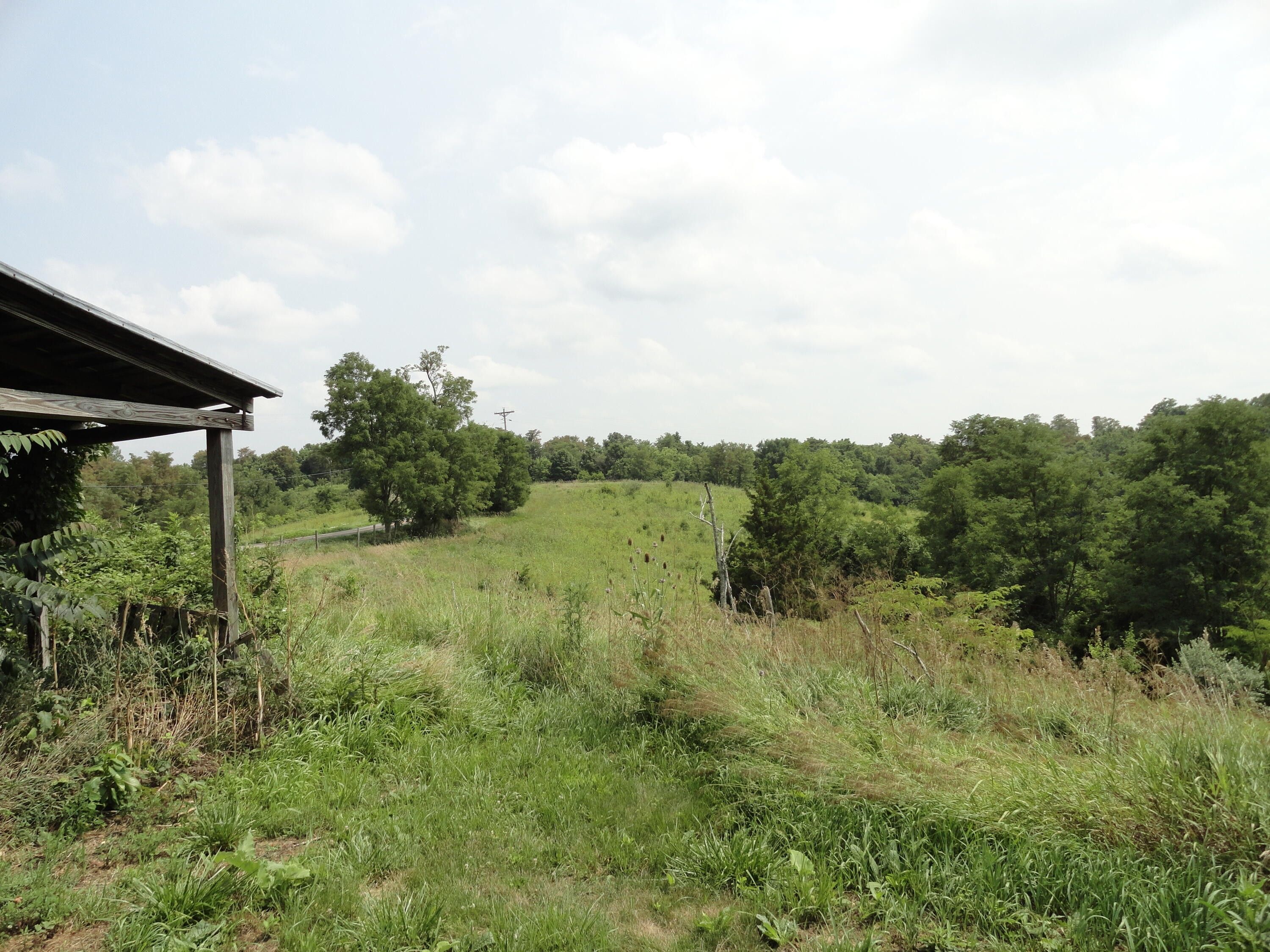 Falmouth, Bracken County, KY Farms and Ranches for sale Property ID 417016002 LandWatch